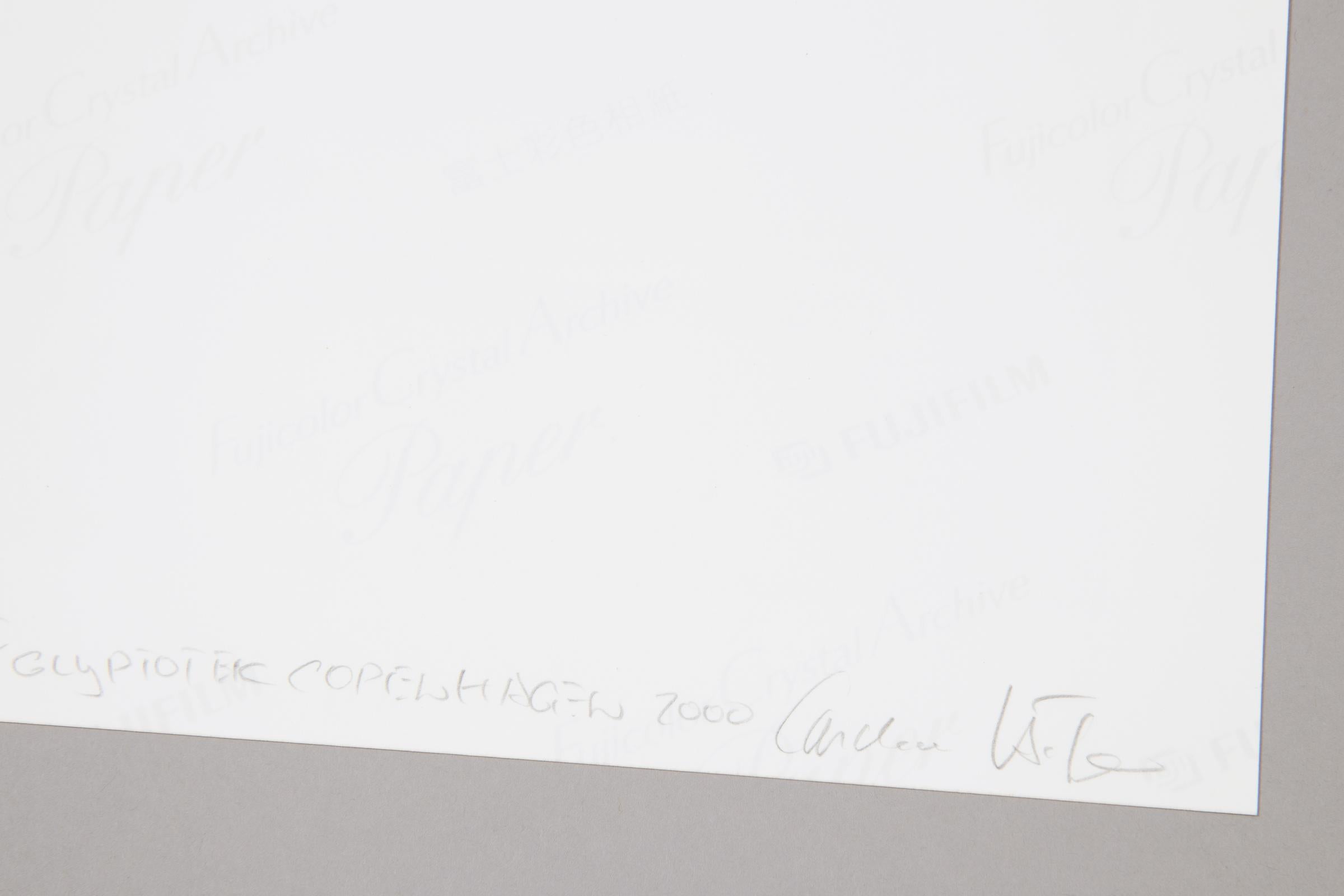 Candida Höfer, N.Y. Carlsberg Glyptotek Copenhagen III - Photographie signée en vente 1