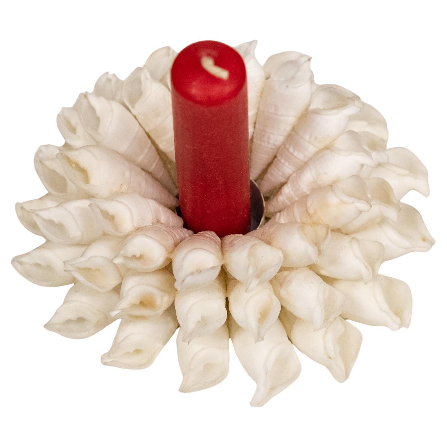 Altro Portacandele con conchiglie di Giovanni Patrini Designer in vendita