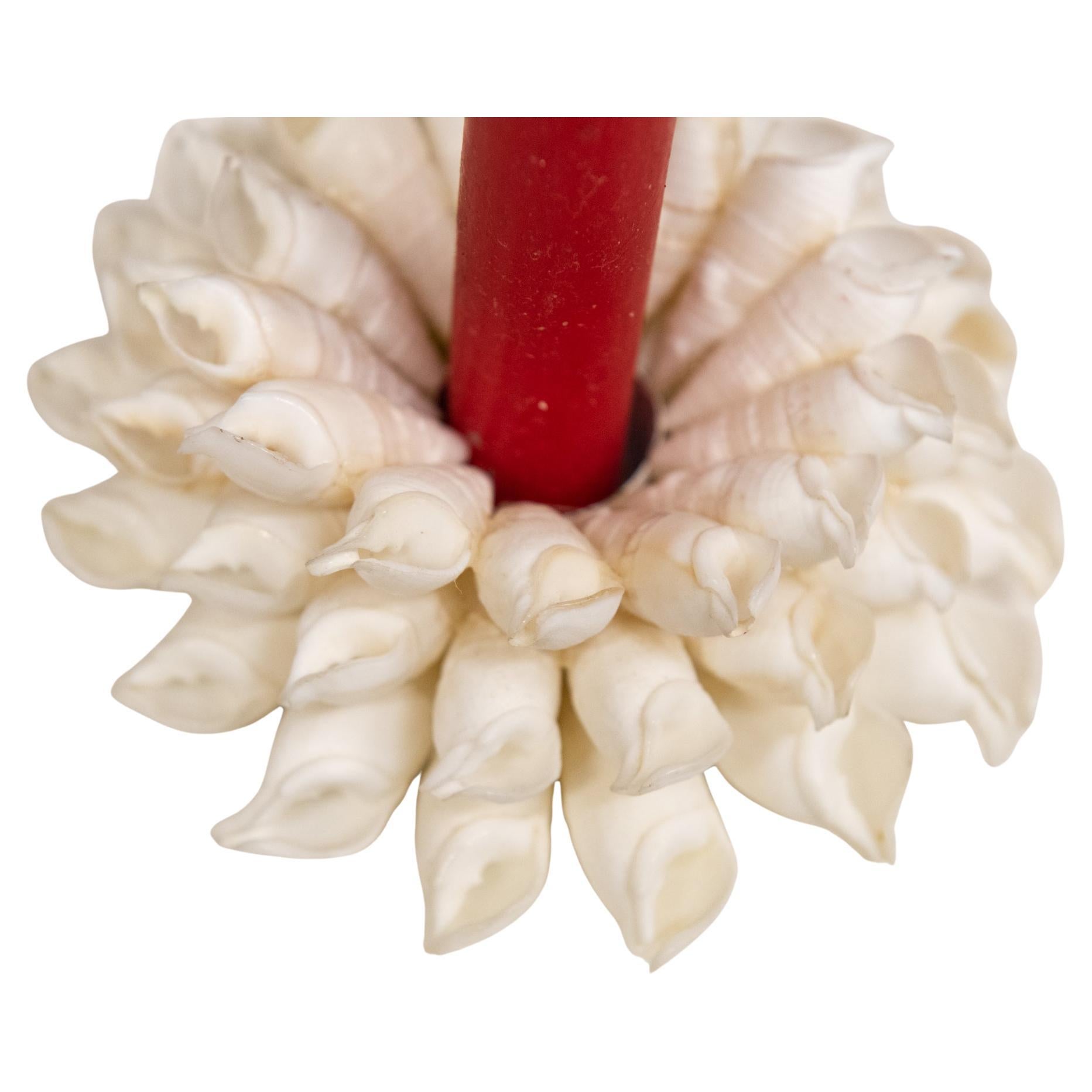 Italiano Portacandele con conchiglie di Giovanni Patrini Designer in vendita