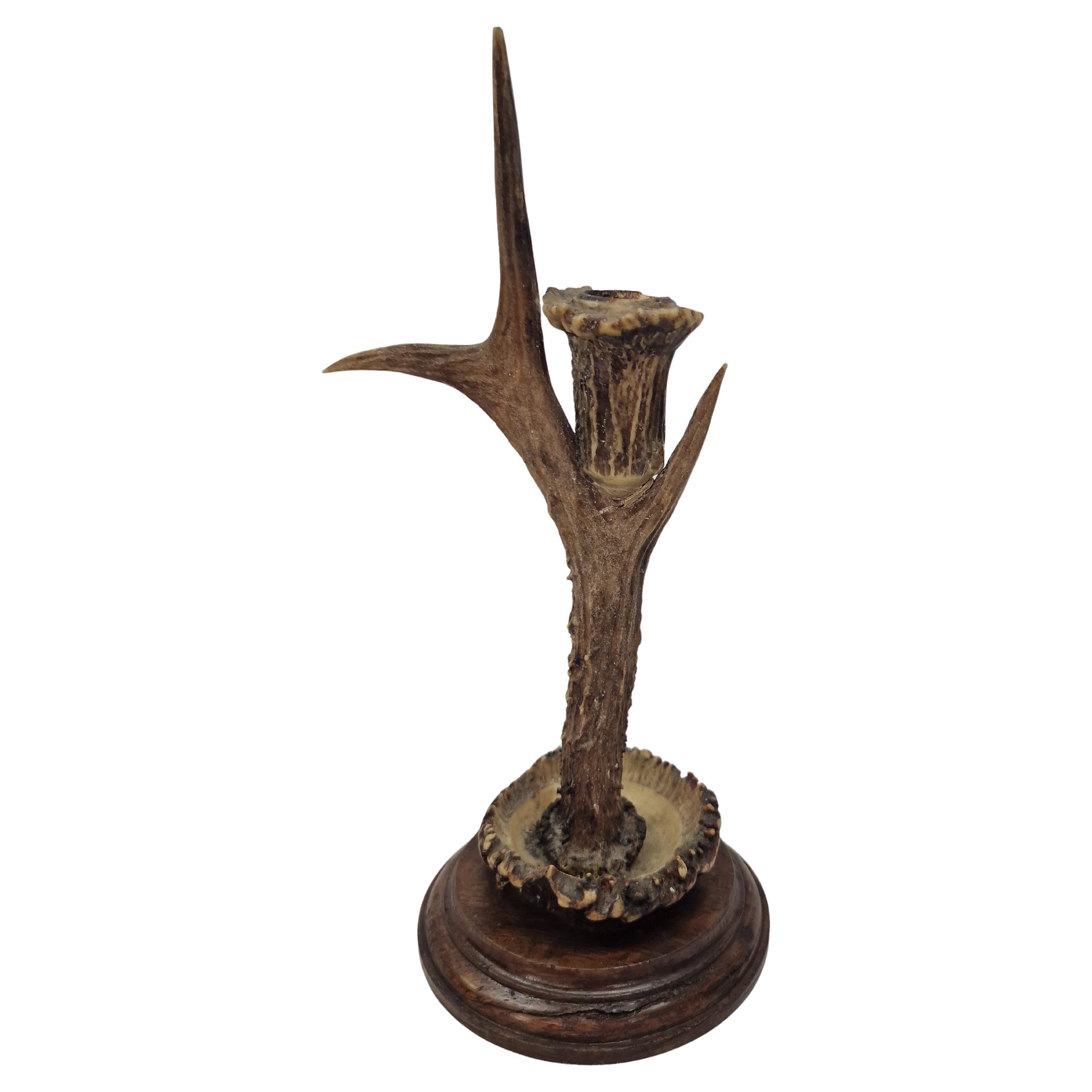 Candlestick deer antler optics, oak wood tramp art 1900s South-Germany / Austria
