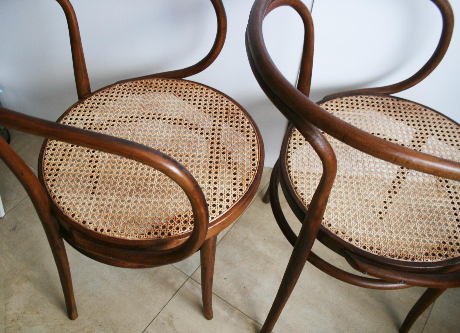 Stühle aus Rohr und Bugholz nach Thonet 209:: 1940er Jahre im Zustand „Gut“ in Mombuey, Zamora