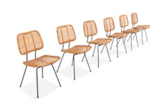 Cane and Black Metal Tropical Dining Chairs from the 1950s