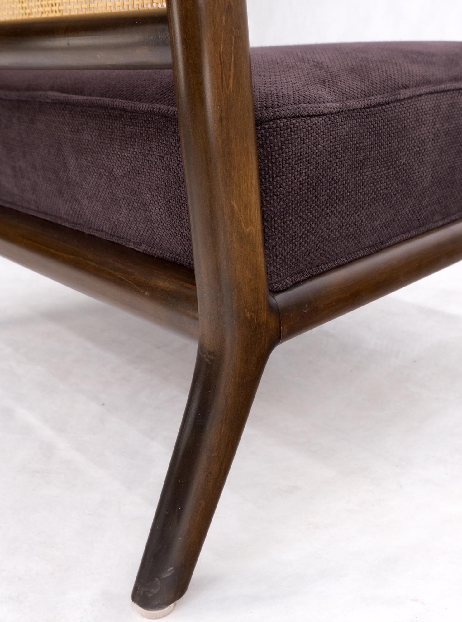 Mid-Century Modern Cane Back Walnut Frame Wide Seat Slipper Lounge Chair