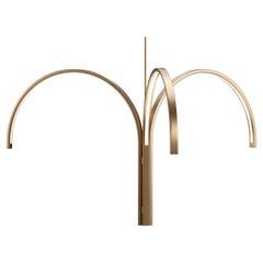 Cane Cluster - 62 in