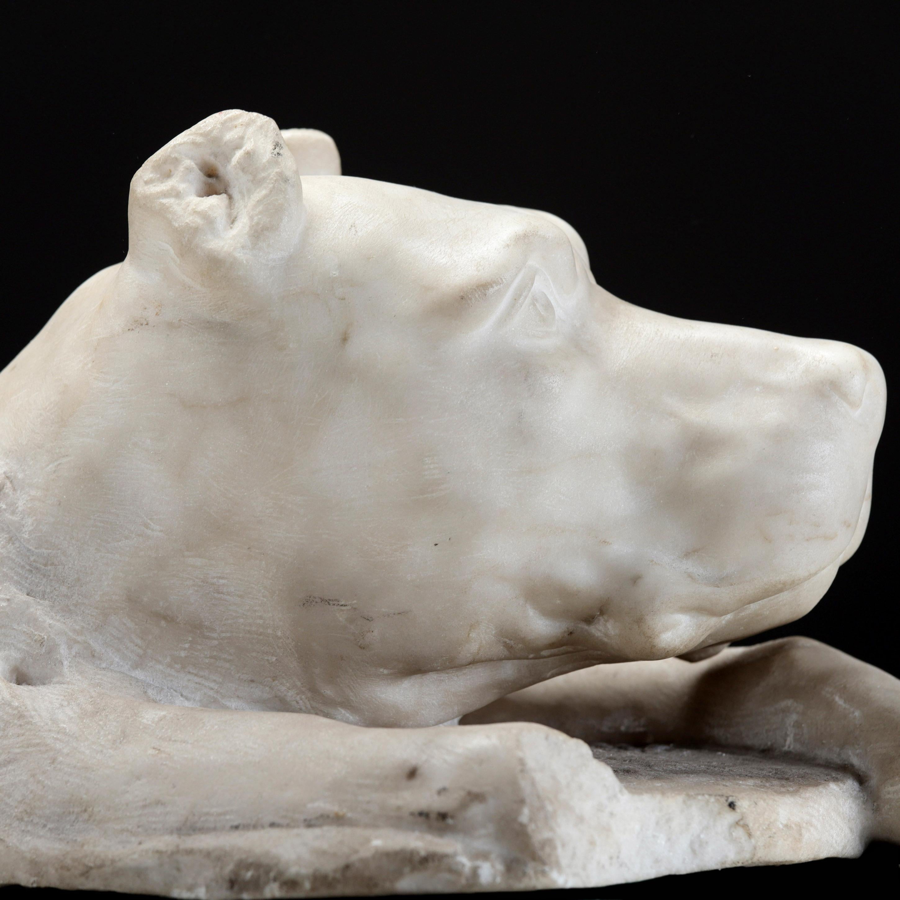 AN ITALIAN  CARVED MARBLE STUDY OF A CANE CORSO, 18TH CENTURY
An ancient and loyal breed, the Cane Corso, also known as an Italian Mastiff, has a long and interesting history dating back to the Roman empire.
The name Cane Corso loosely translates to