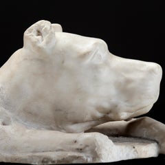 Cane Corso, XVIII Century