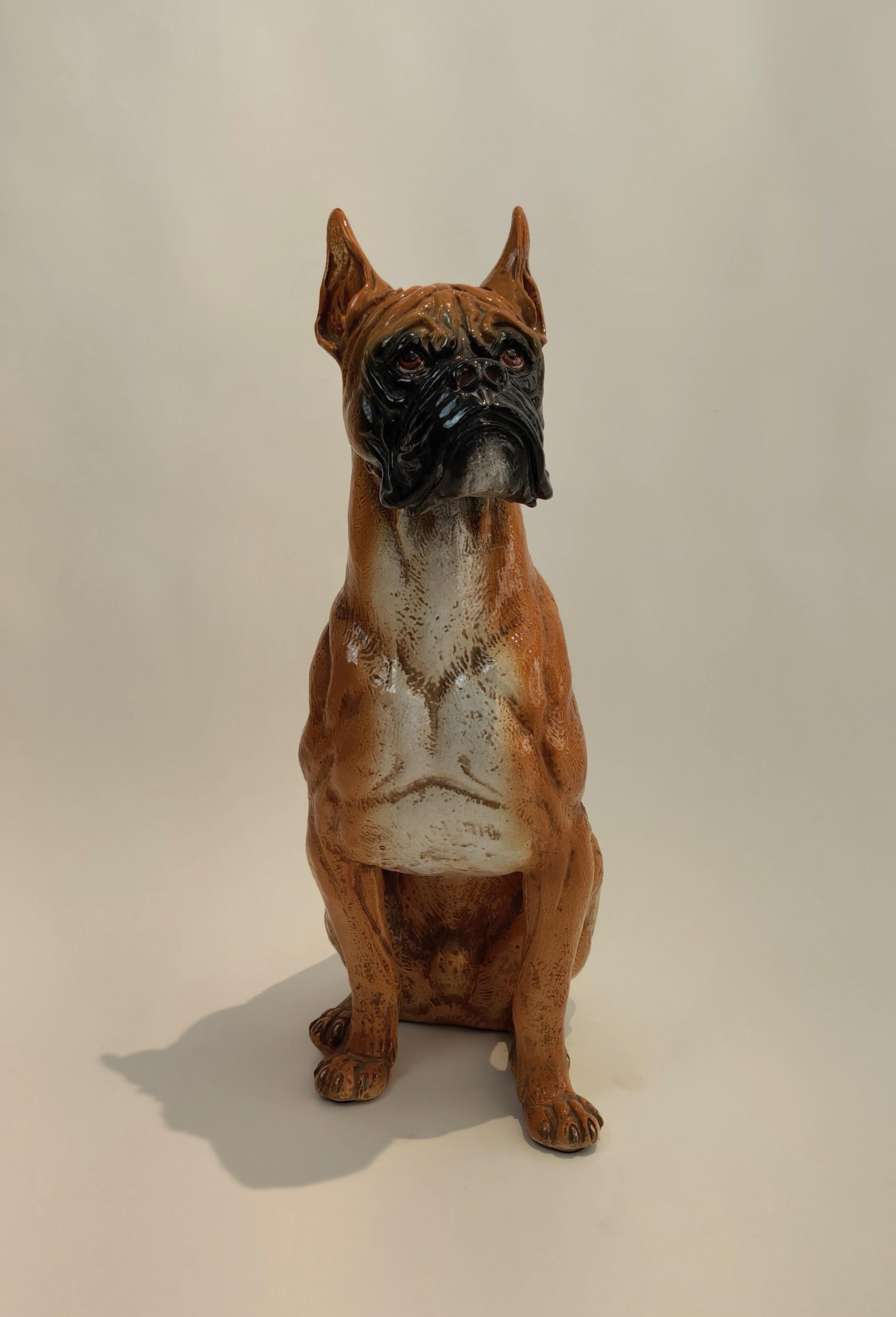 Maiolica que representa un perro de raza Boxer de fabricación toscana, ejecutada hacia los años sesenta. Mide 28x52x78 cm y está aerografiada, recubierta, modelada y acabada a mano.
 
La mayólica es un tipo de producción cerámica caracterizada por