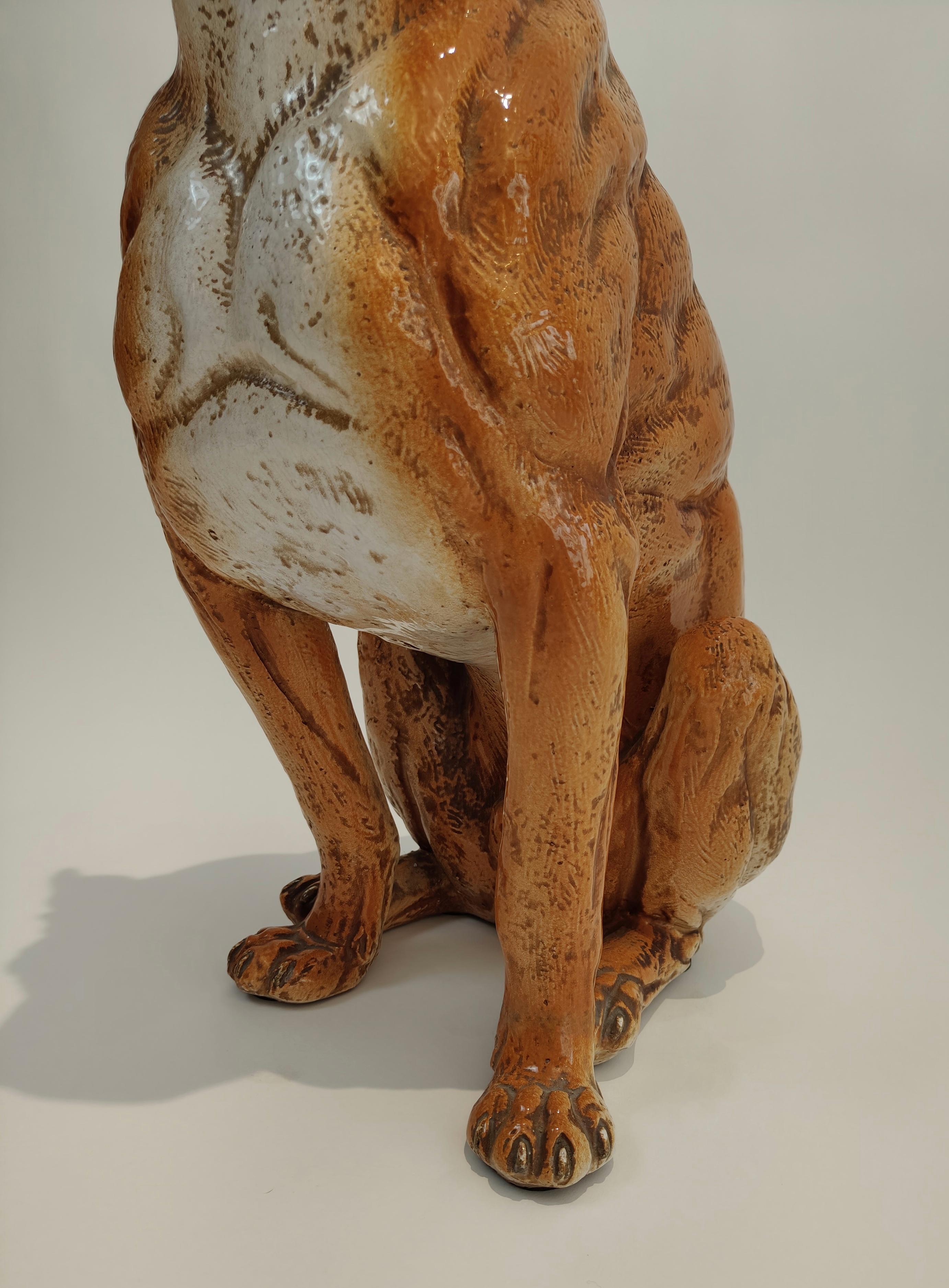 Perro de raza Boxer de mayólica toscana, Italia, 1960 Moldeado en venta