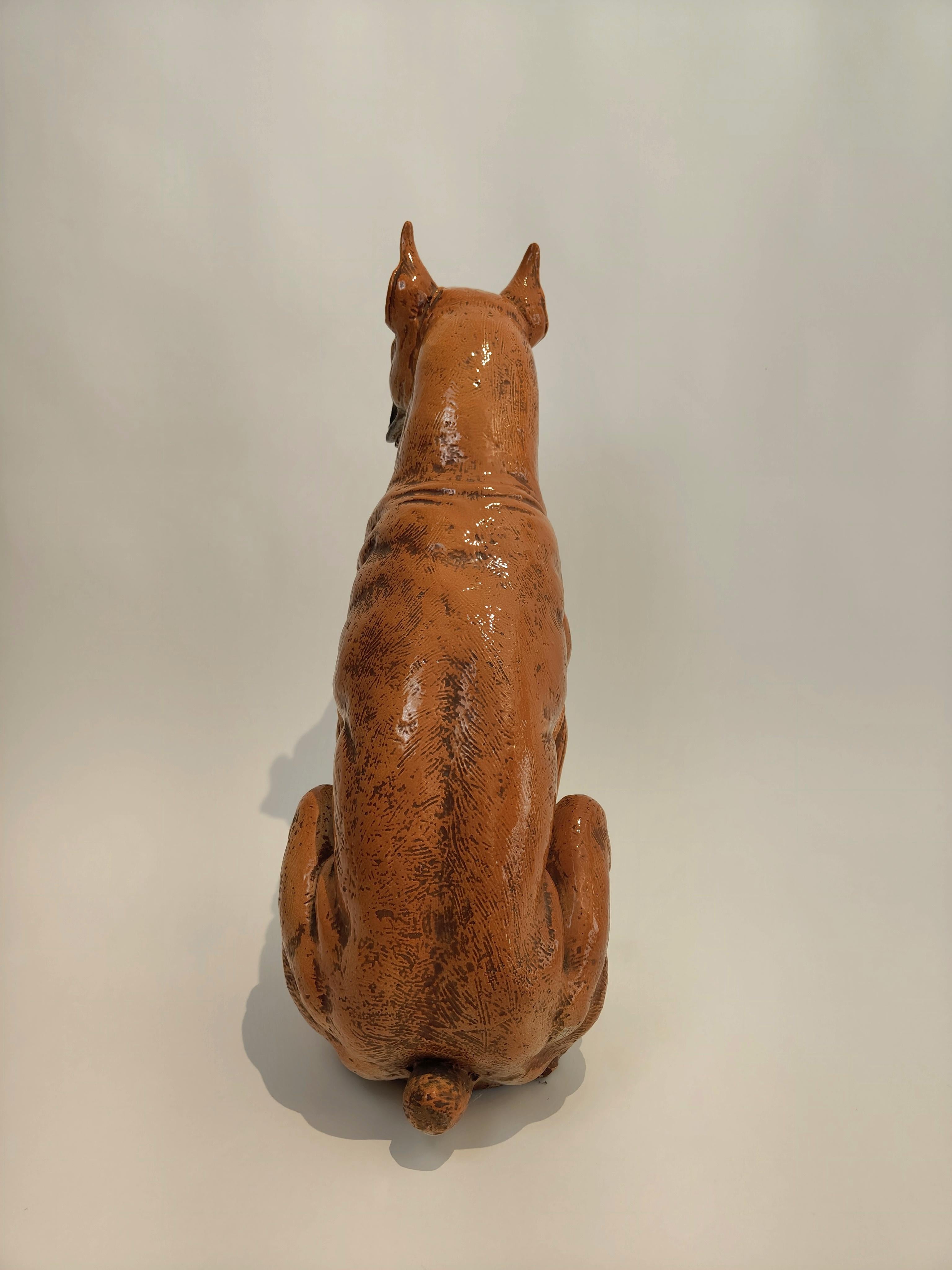 Perro de raza Boxer de mayólica toscana, Italia, 1960 Mid-20th Century en venta