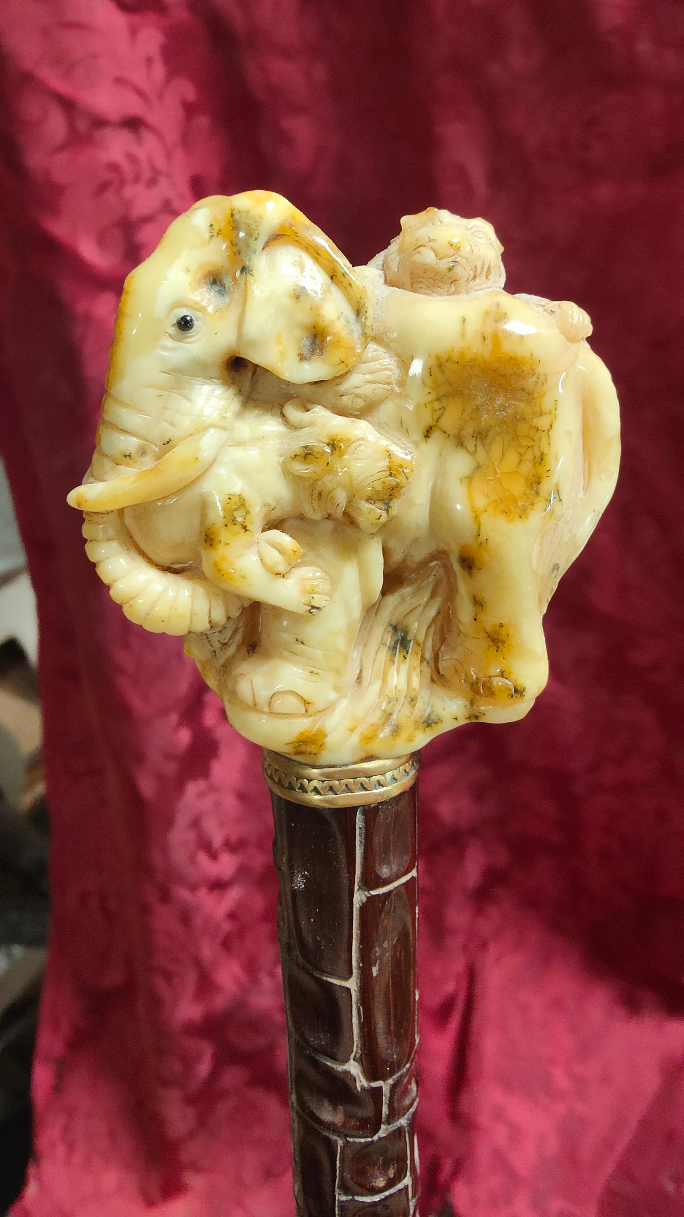 Cane In Baltic Amber XIX Century For Sale 11