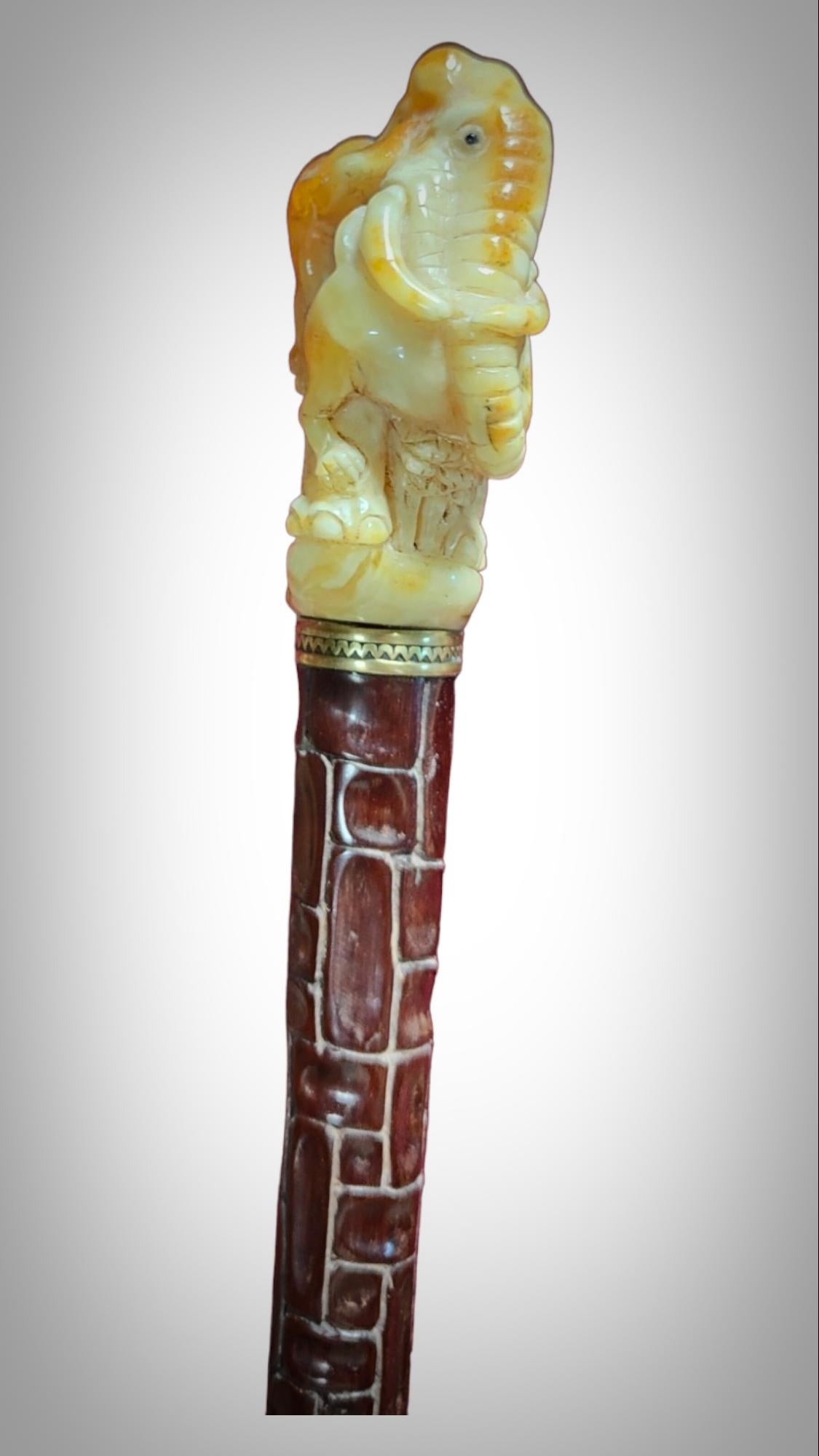 Wood Cane In Baltic Amber XIX Century For Sale