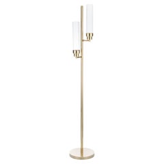 Canneté Double Arms Floor Lamp with Naural Brass Structure