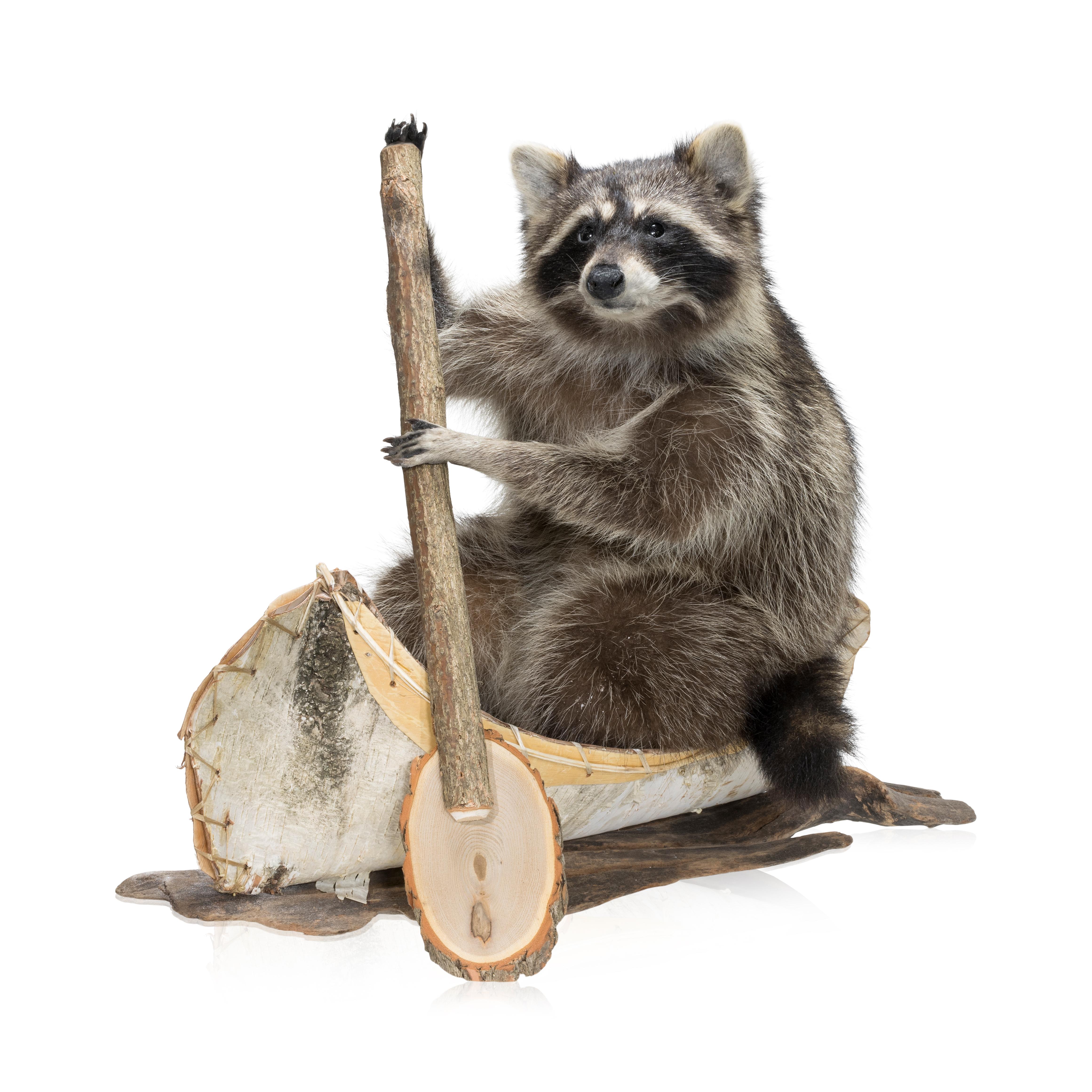 Sitting canoe in a birch bark canoe holding a paddle. 27