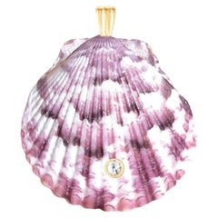Canto Natural Shell Pendant with 14k Gold and Natural White Sapphire Gemstone