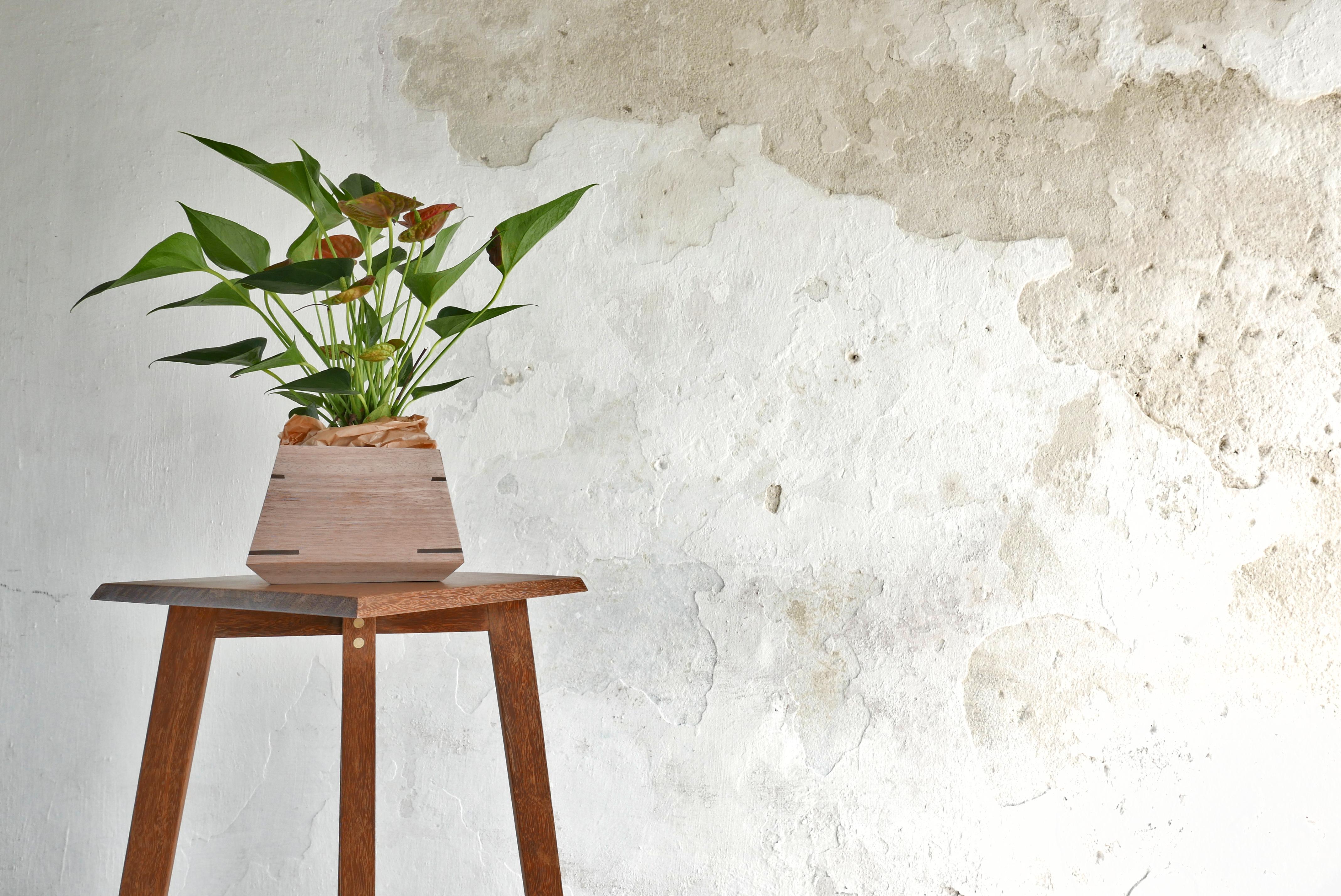 Canto est une pièce qui peut s'intégrer dans n'importe quel environnement, avec sa combinaison de styles minimaliste et moderne du milieu du siècle, elle peut servir de piédestal pour des œuvres d'art, des ornements ou un vase de plantes. Avec deux