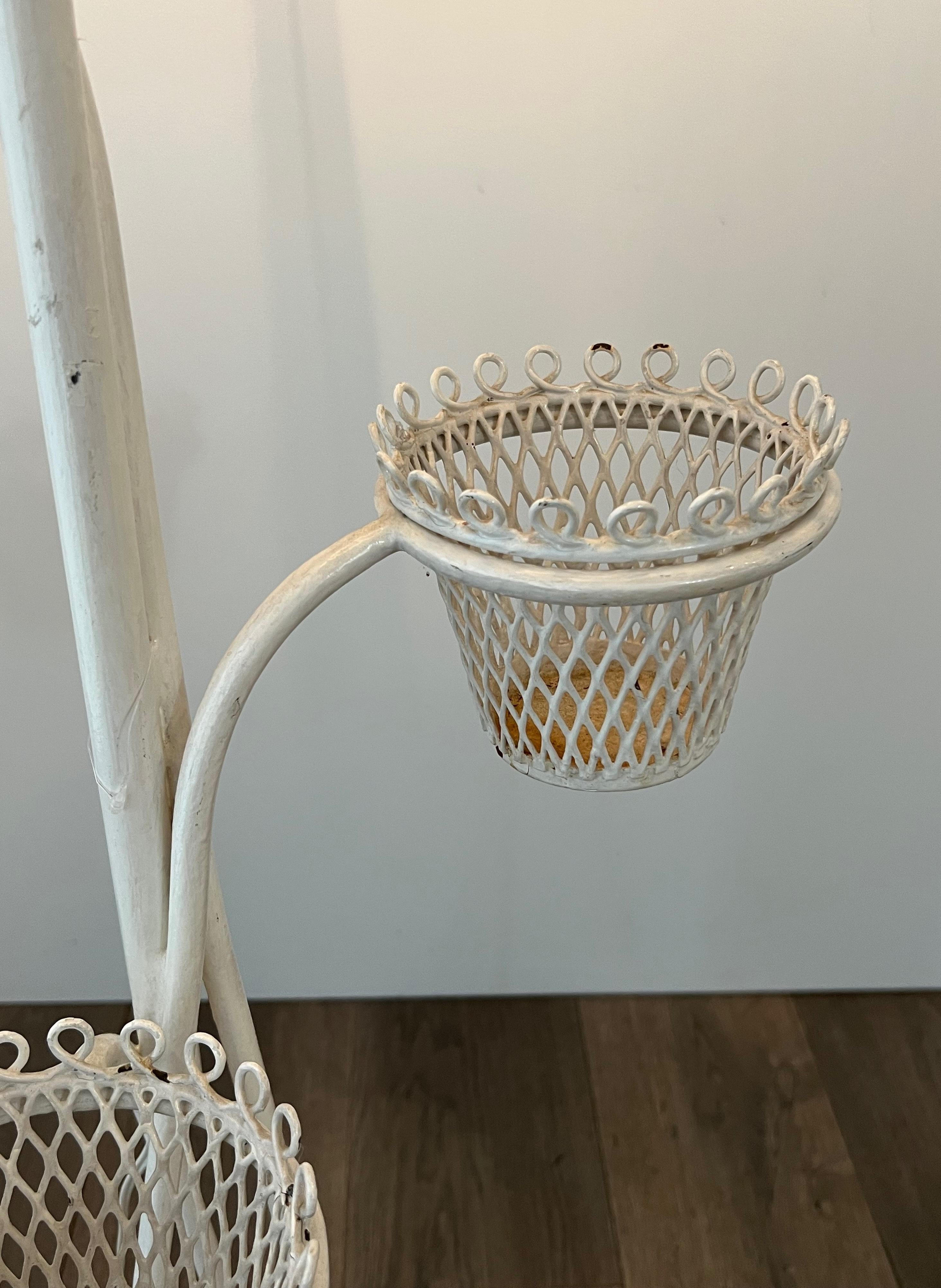 Metà XX secolo Lampada da terra porta piante Collection'S di Mathieu Matégot in vendita