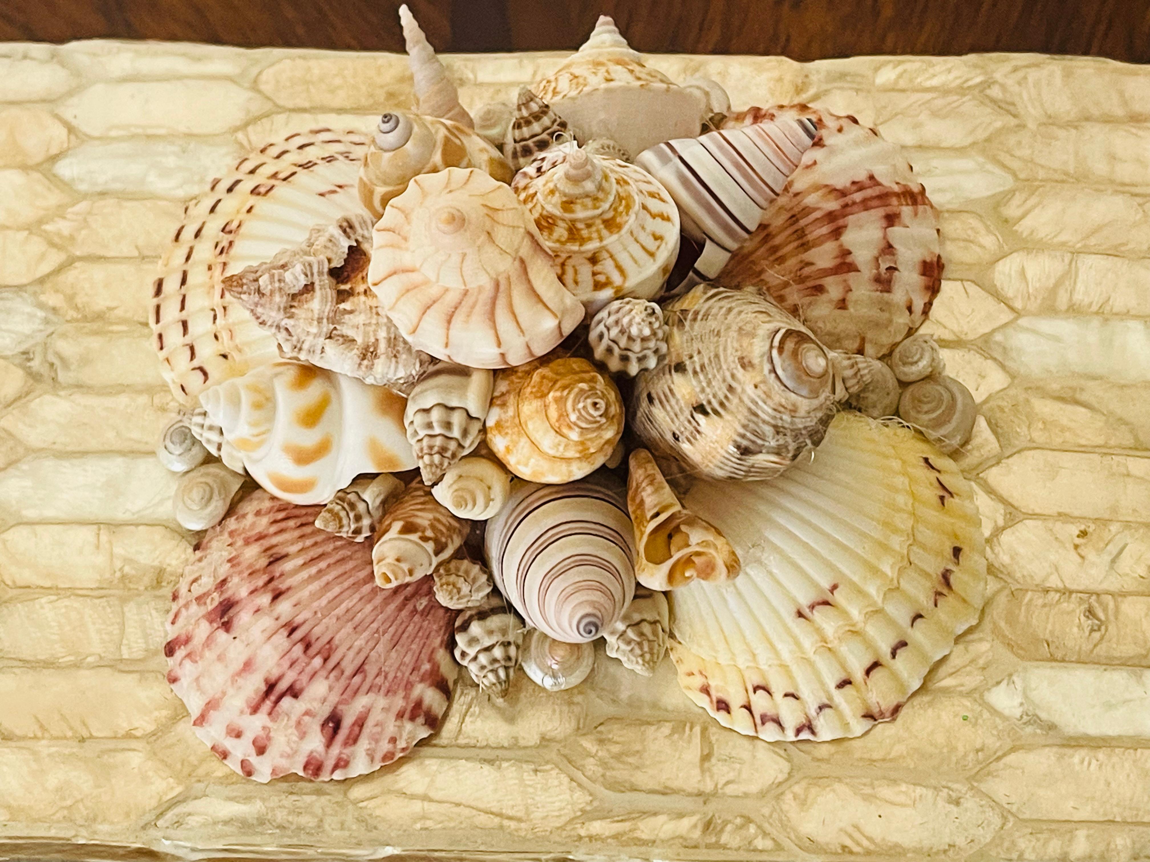 Organic Modern Capiz Shell Box Adorned with Shells For Sale
