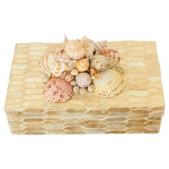 Capiz Shell Box Adorned with Shells