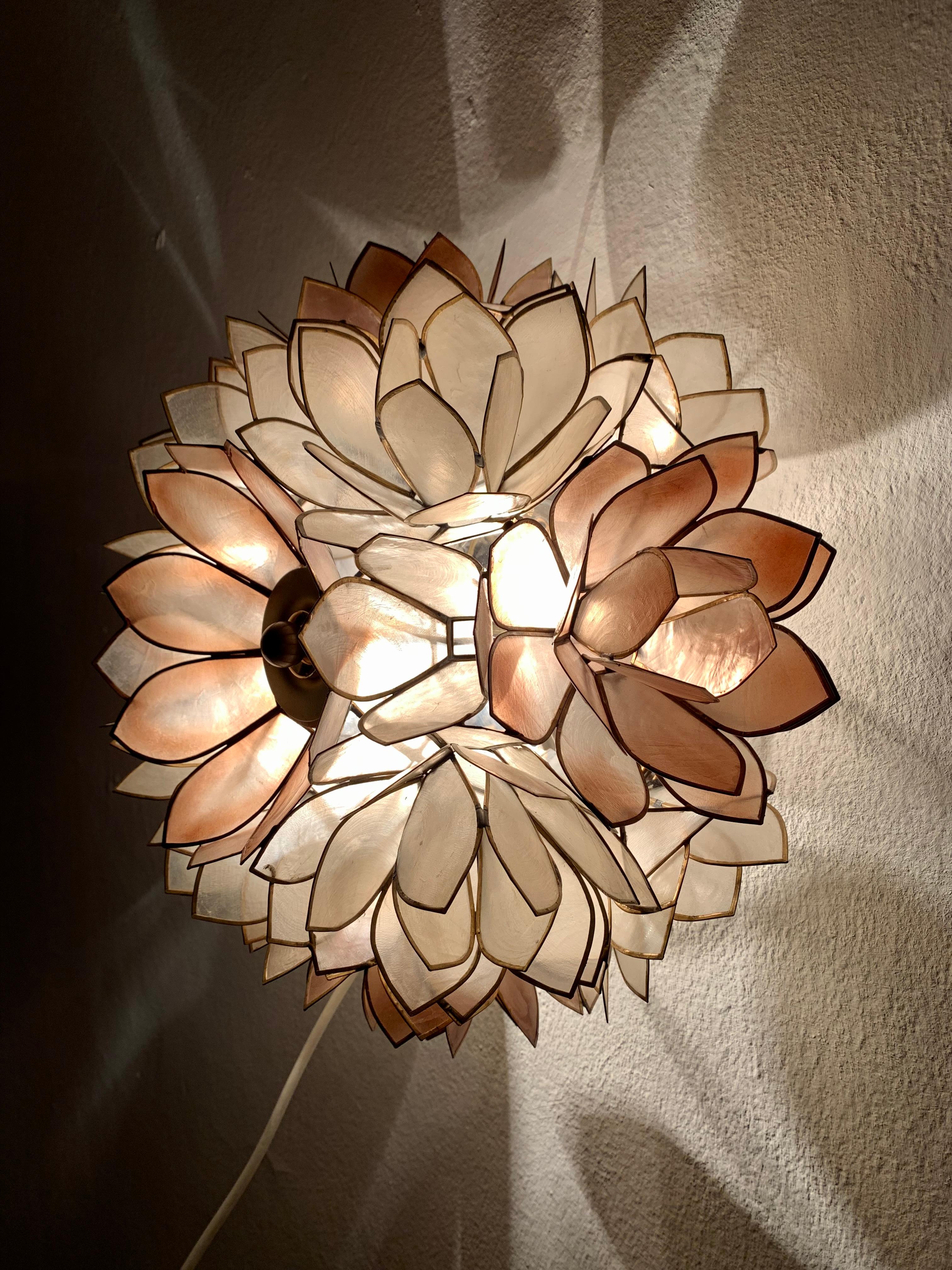 Capiz Shell Wall or Flush Lamp For Sale 2