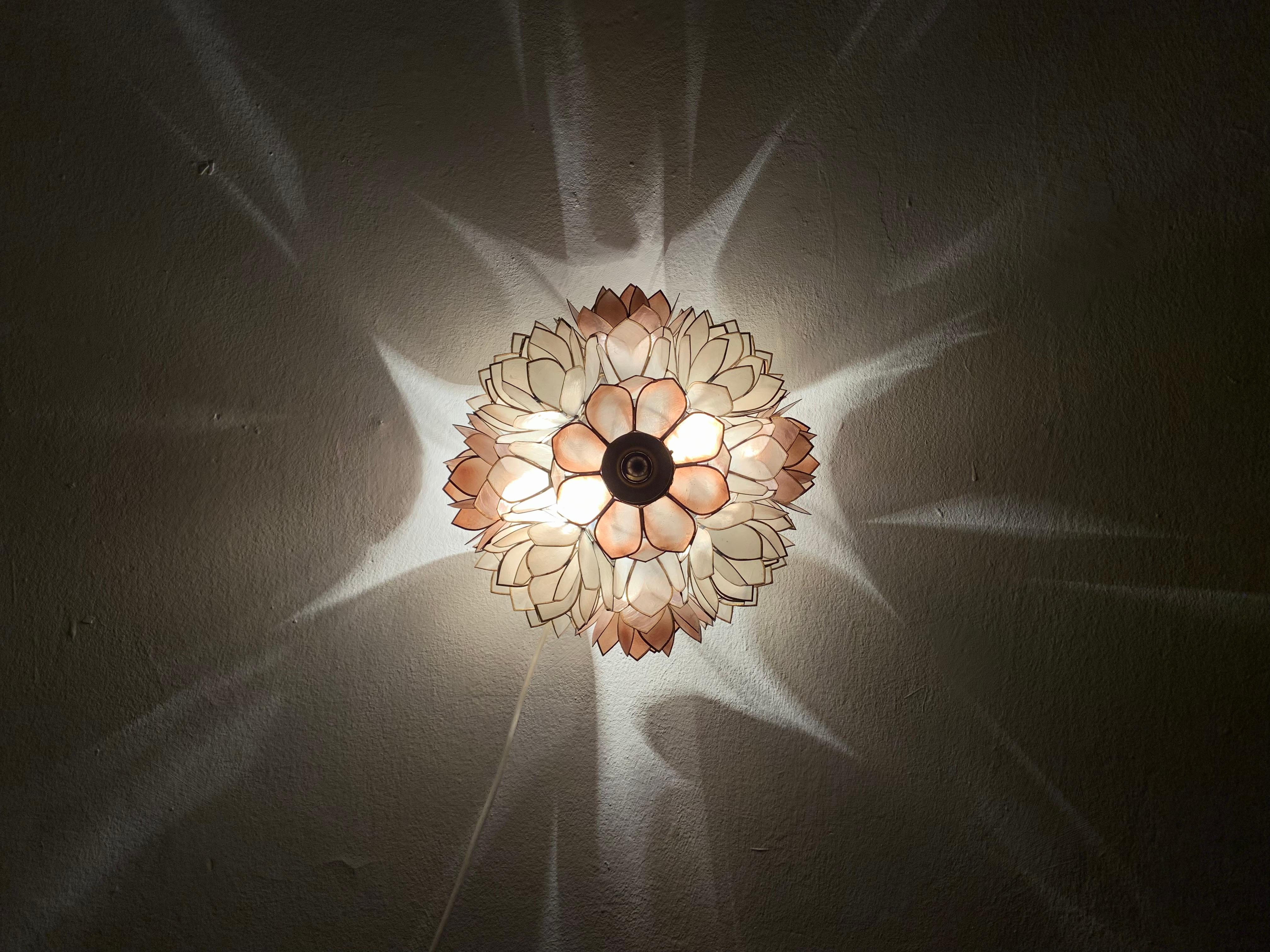 Capiz Shell Wall or Flush Lamp For Sale 3