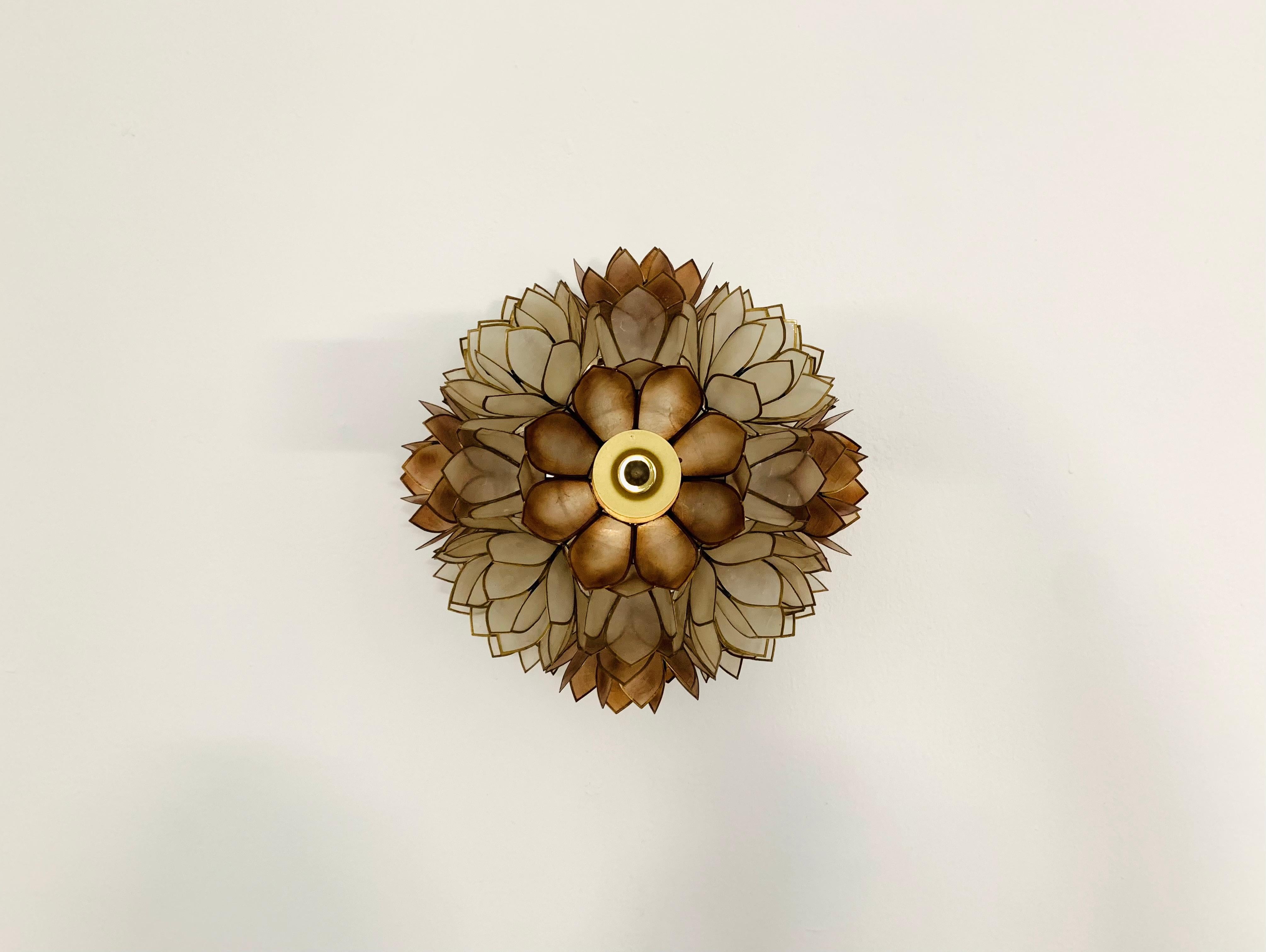 what is capiz shell