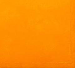 Capobianco Abstract Color Field Oil on Canvas