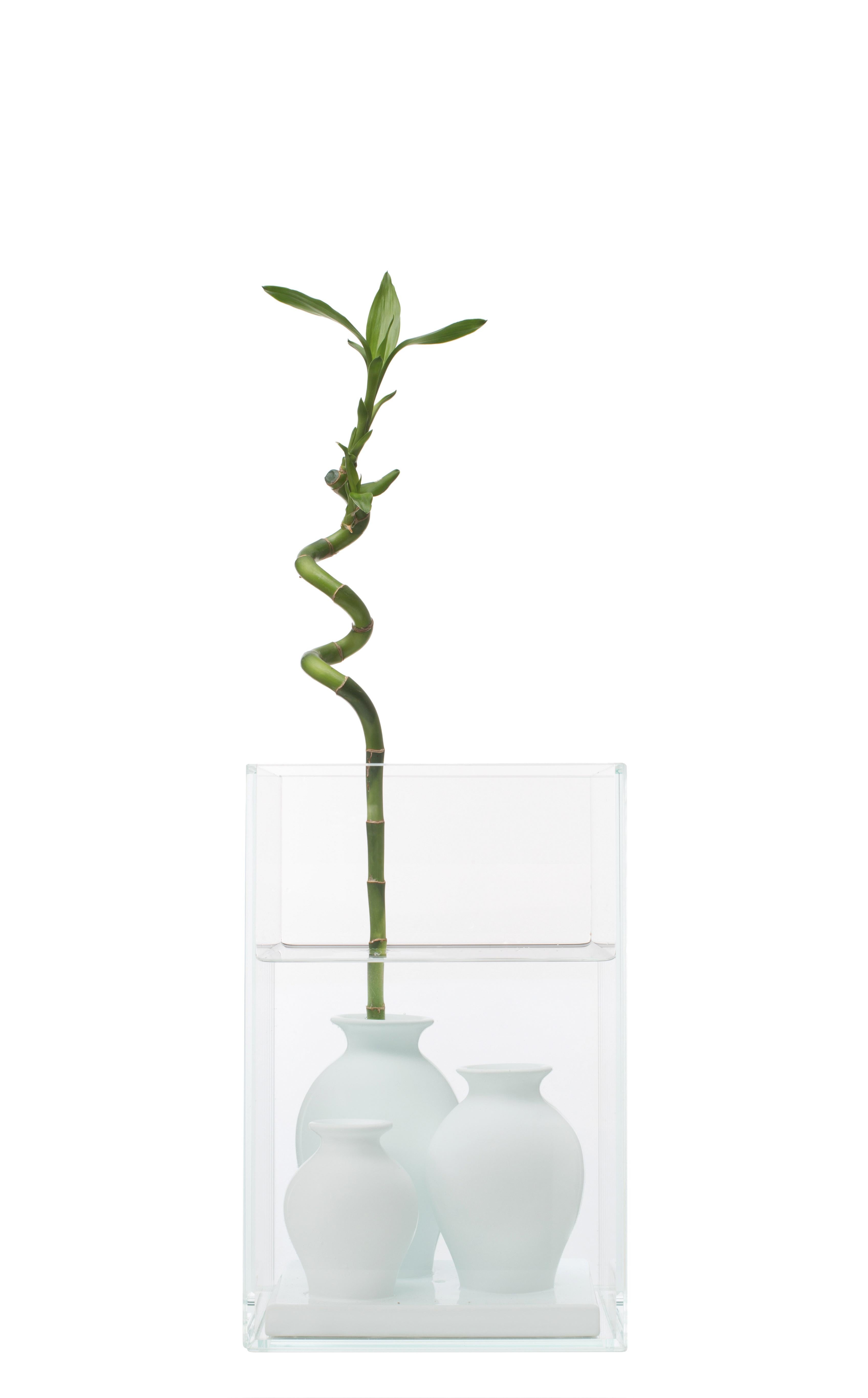 The Atlantis vase, by Tommaso Nani and Noa Ikeuchi, was born from the dialogue between two material elements. This piece, beyond its function as a decorative receptacle, is also meant to valorise the intimate ritual gesture of flower arranging,