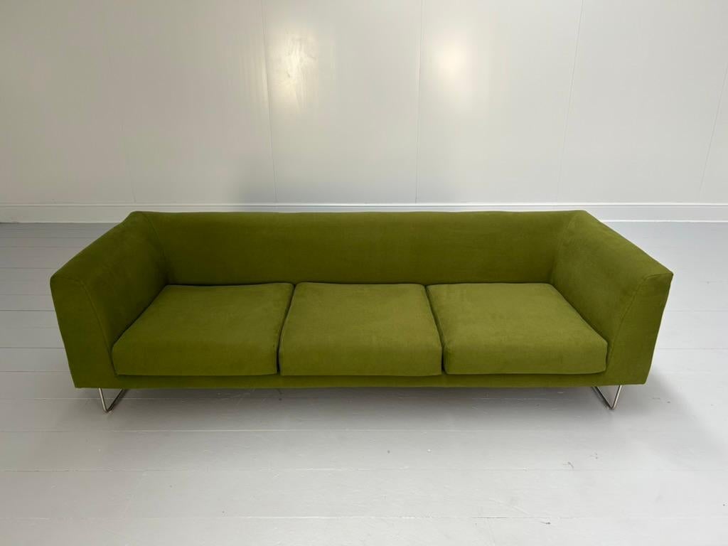 Cappellini 