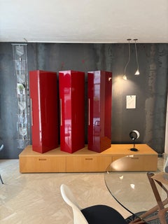 Cappellini Wall System in Oak and High-Gloss Lacquered