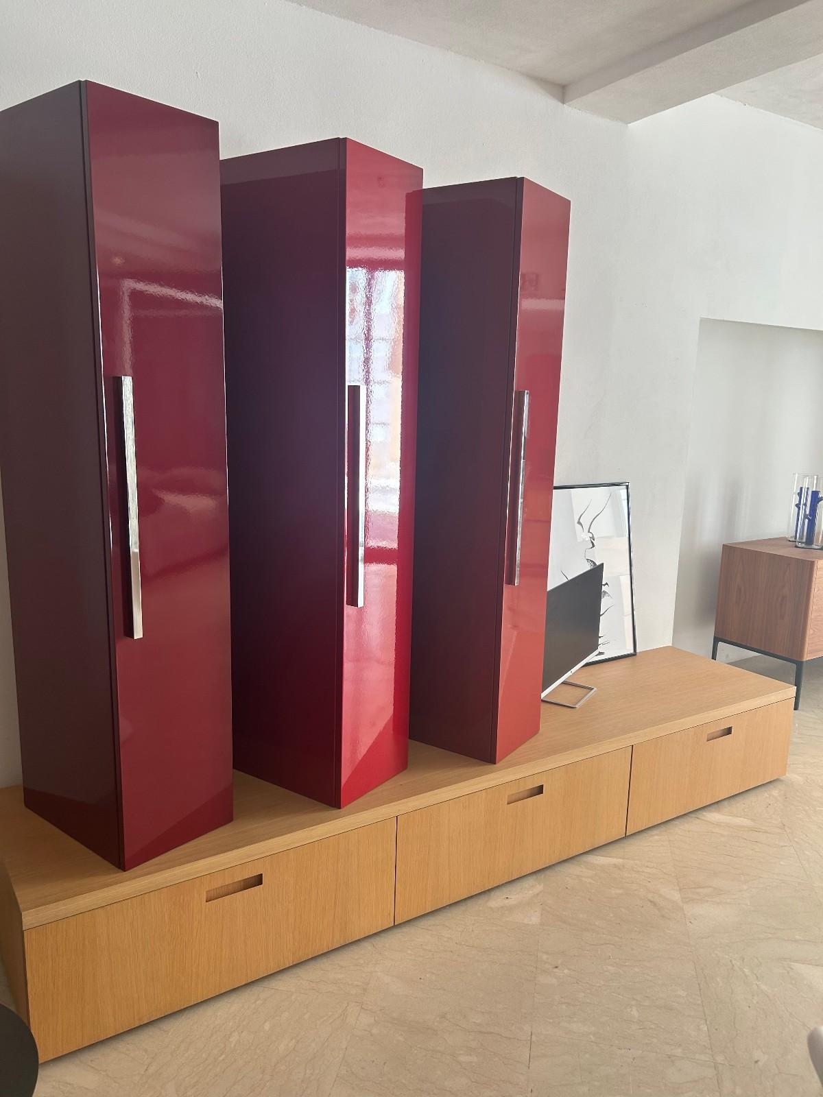 Periodo contemporaneo Cappellini Wall System in Oak and High-Gloss Lacquered in vendita