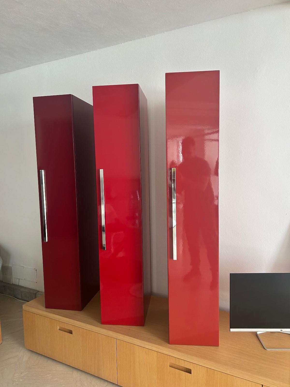 Cappellini Wall System in Oak and High-Gloss Lacquered in vendita 1