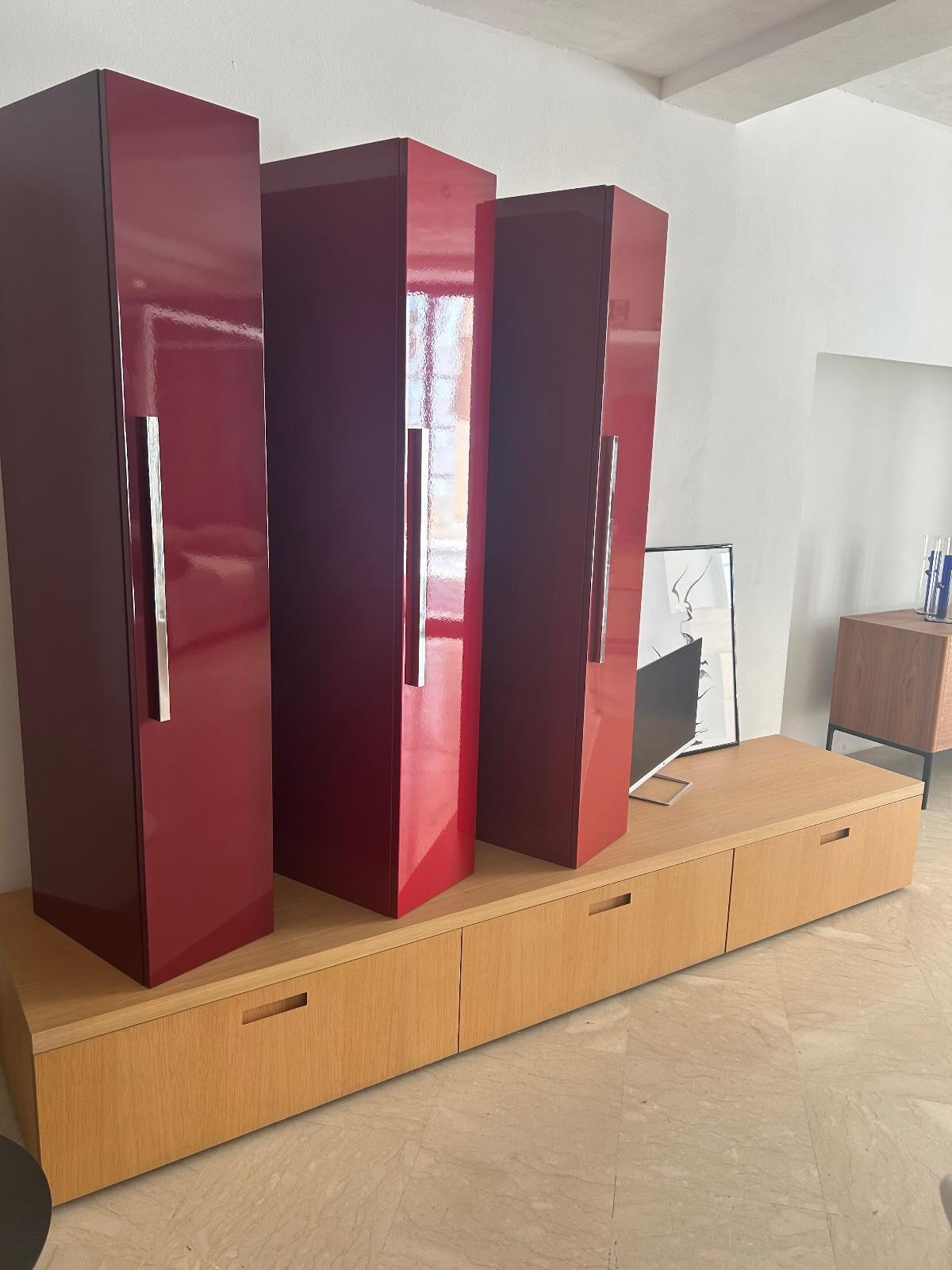 Cappellini Wall System in Oak and High-Gloss Lacquered in vendita 2
