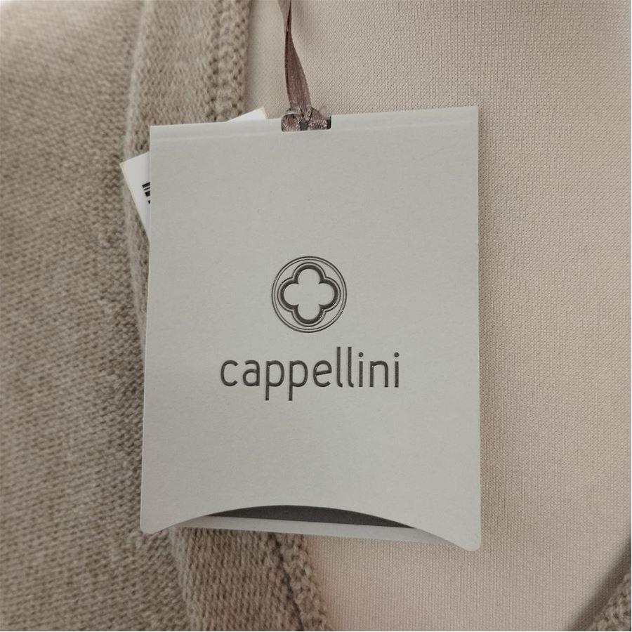 Cappellini Wool pull size 44 In Excellent Condition For Sale In Gazzaniga (BG), IT