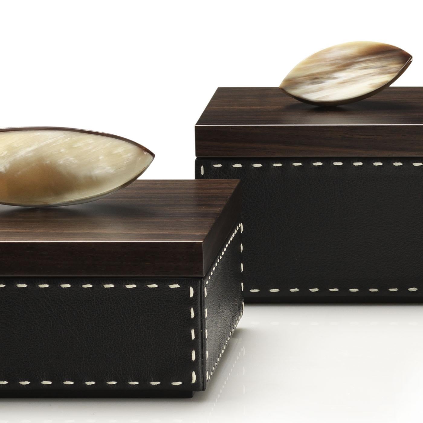 Contemporary Capricia Box I by Arcahorn For Sale