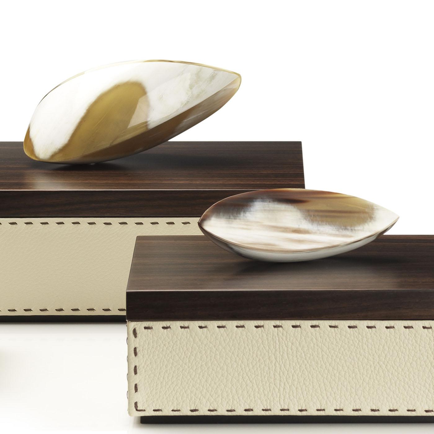 Contemporary Capricia Box IV by Arcahorn For Sale