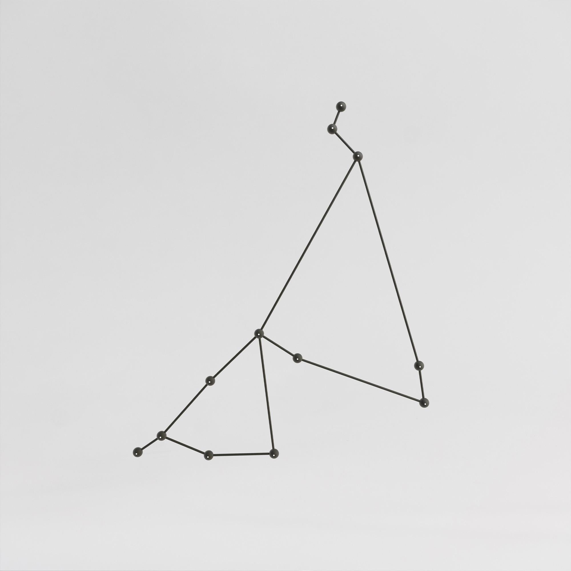 Capricornus Pendant Constellation For Sale 3