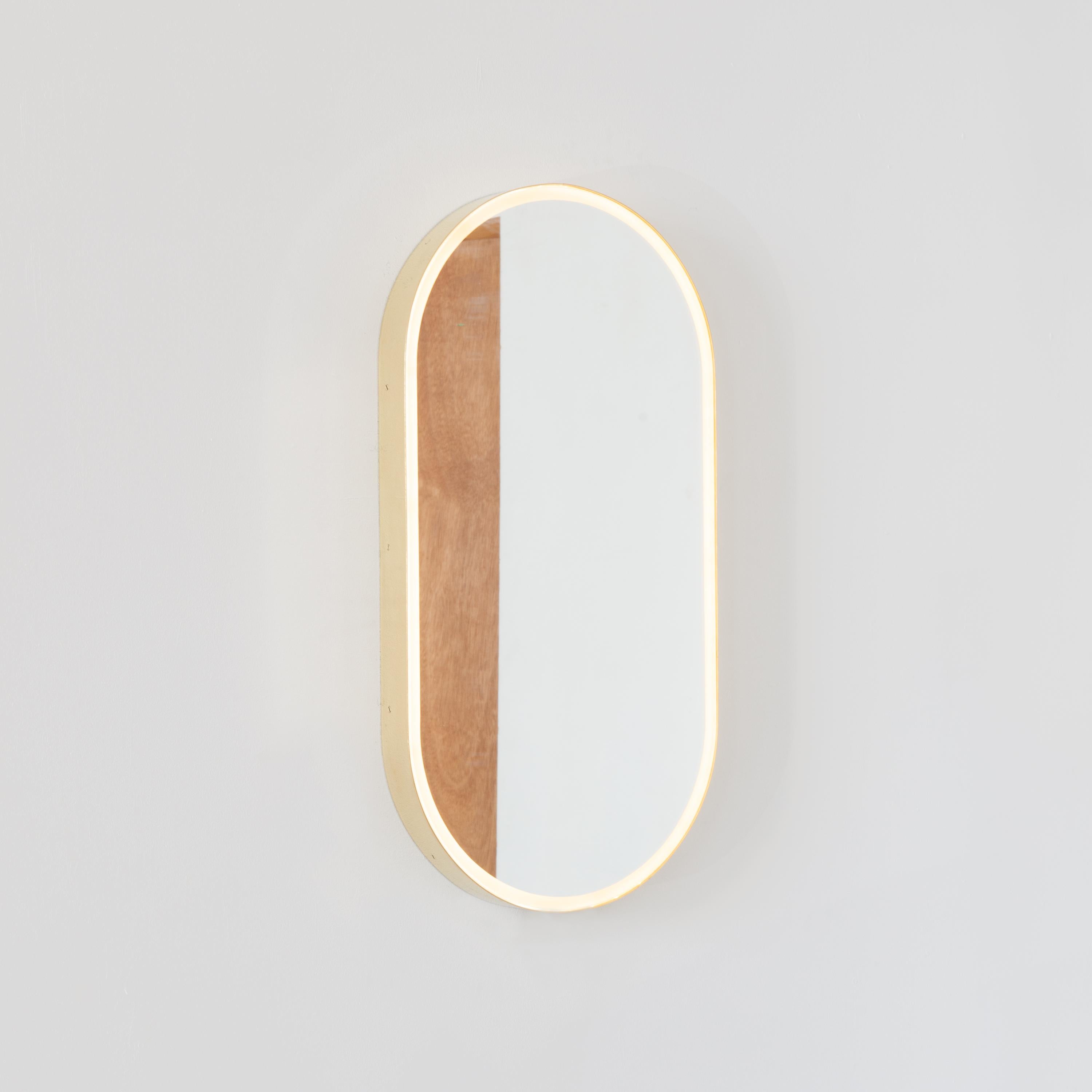 Capsula Illuminated Contemporary Pill Shaped Mirror with Brass Frame, XL For Sale 1
