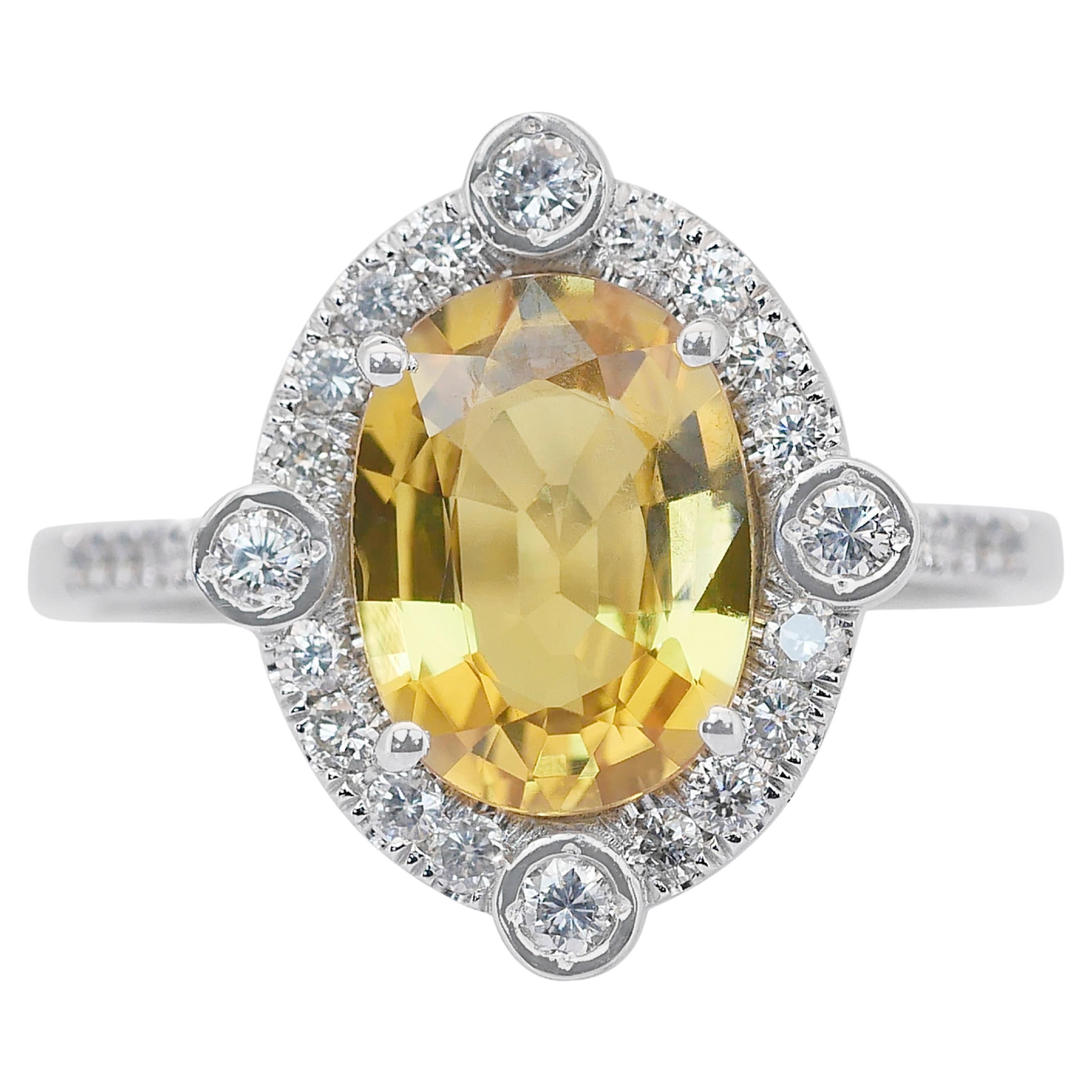 Bezaubernder 3,73 Karat Saphir und Diamanten-Cluster-Ring aus 14 Karat Weißgold
