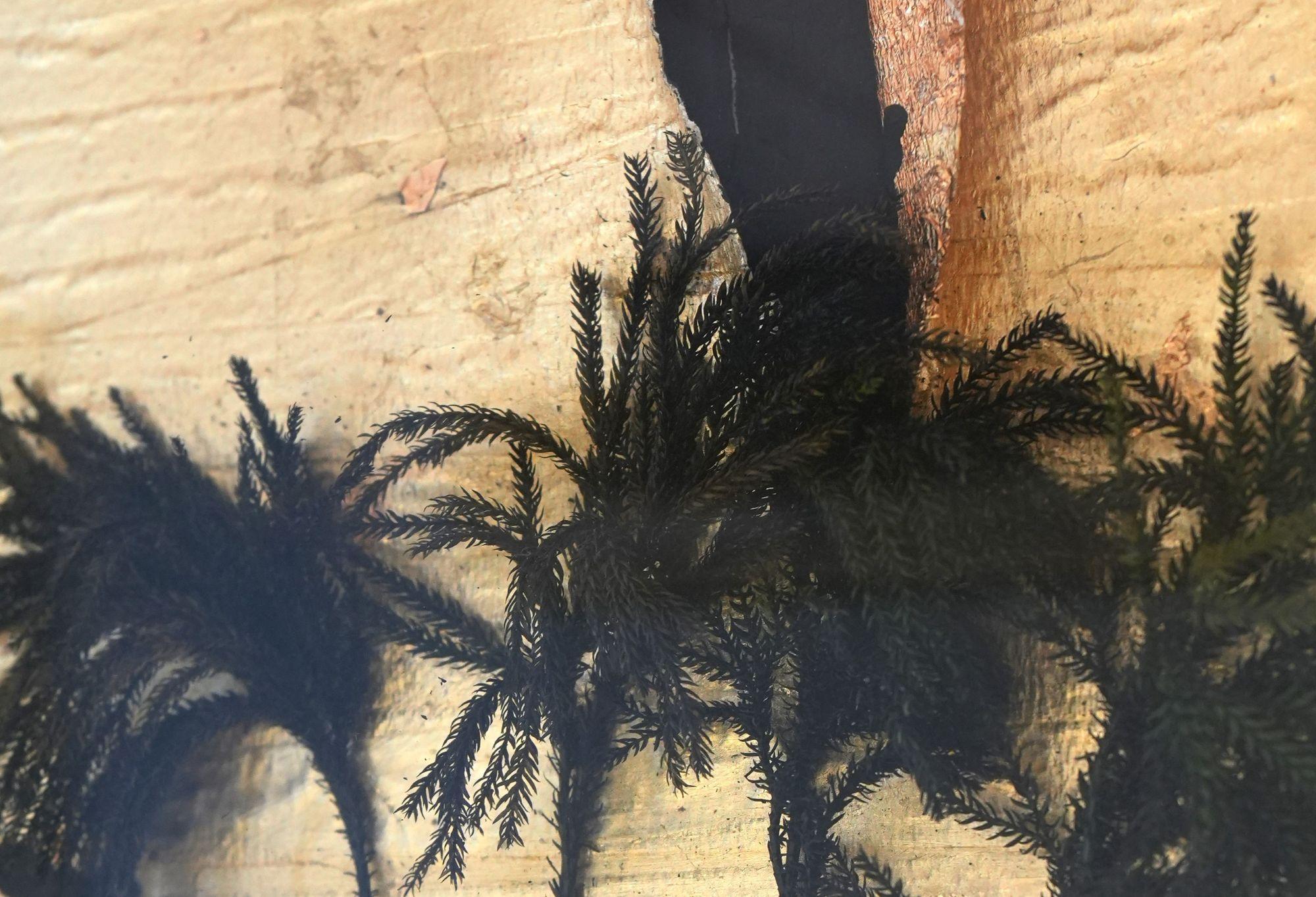 Captivating Mixed Media by Acclaimed Italian Artist Guido Coletti (1998-2000) in vendita 1