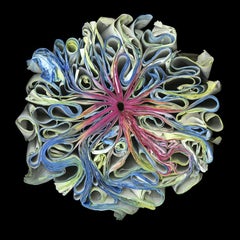 Limited Edition Archival Pigment Print by Cara Barer, Rainbow, Framed