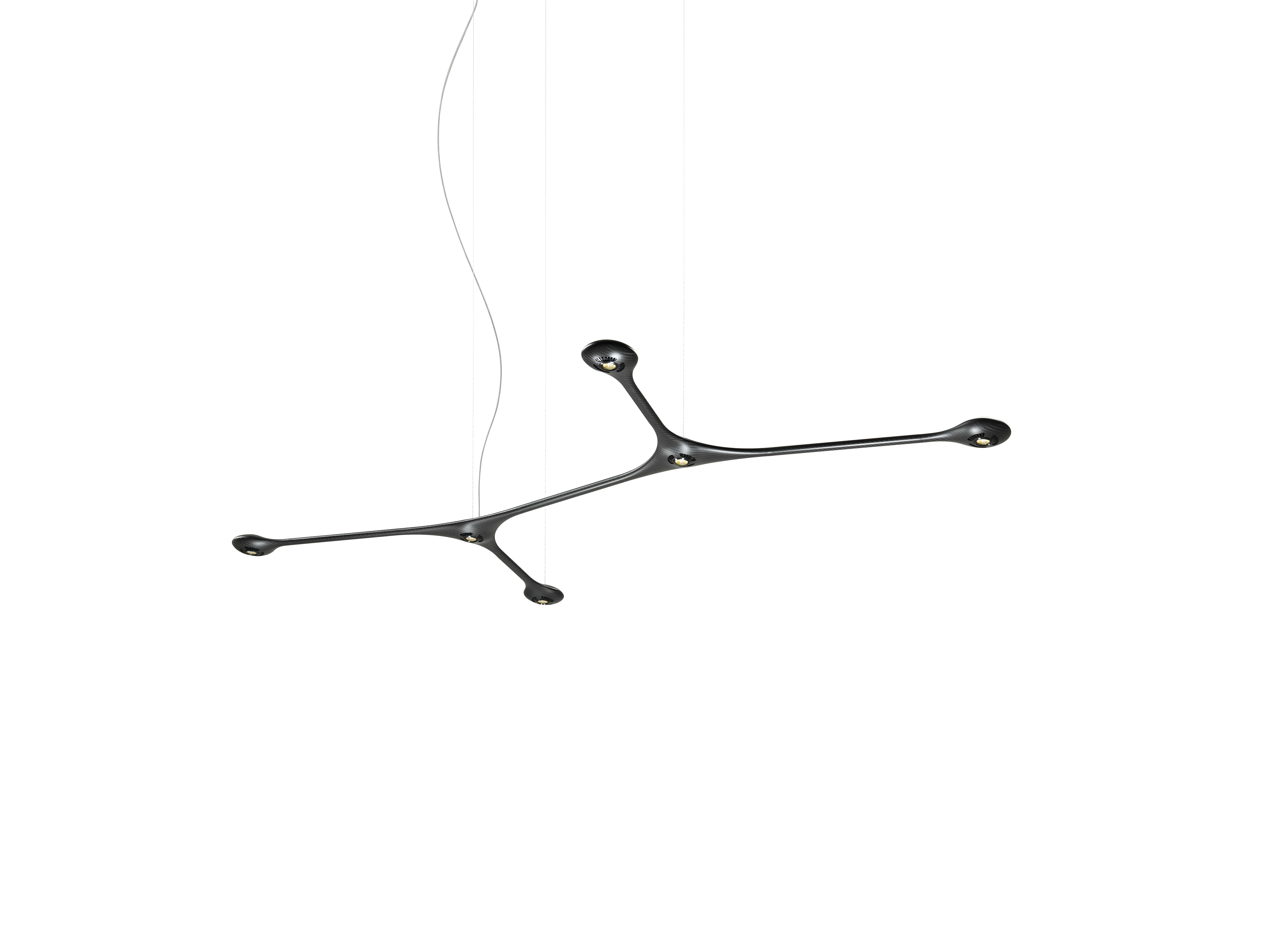 Modern CARB-06 Carbon Ceiling Light by Tokio