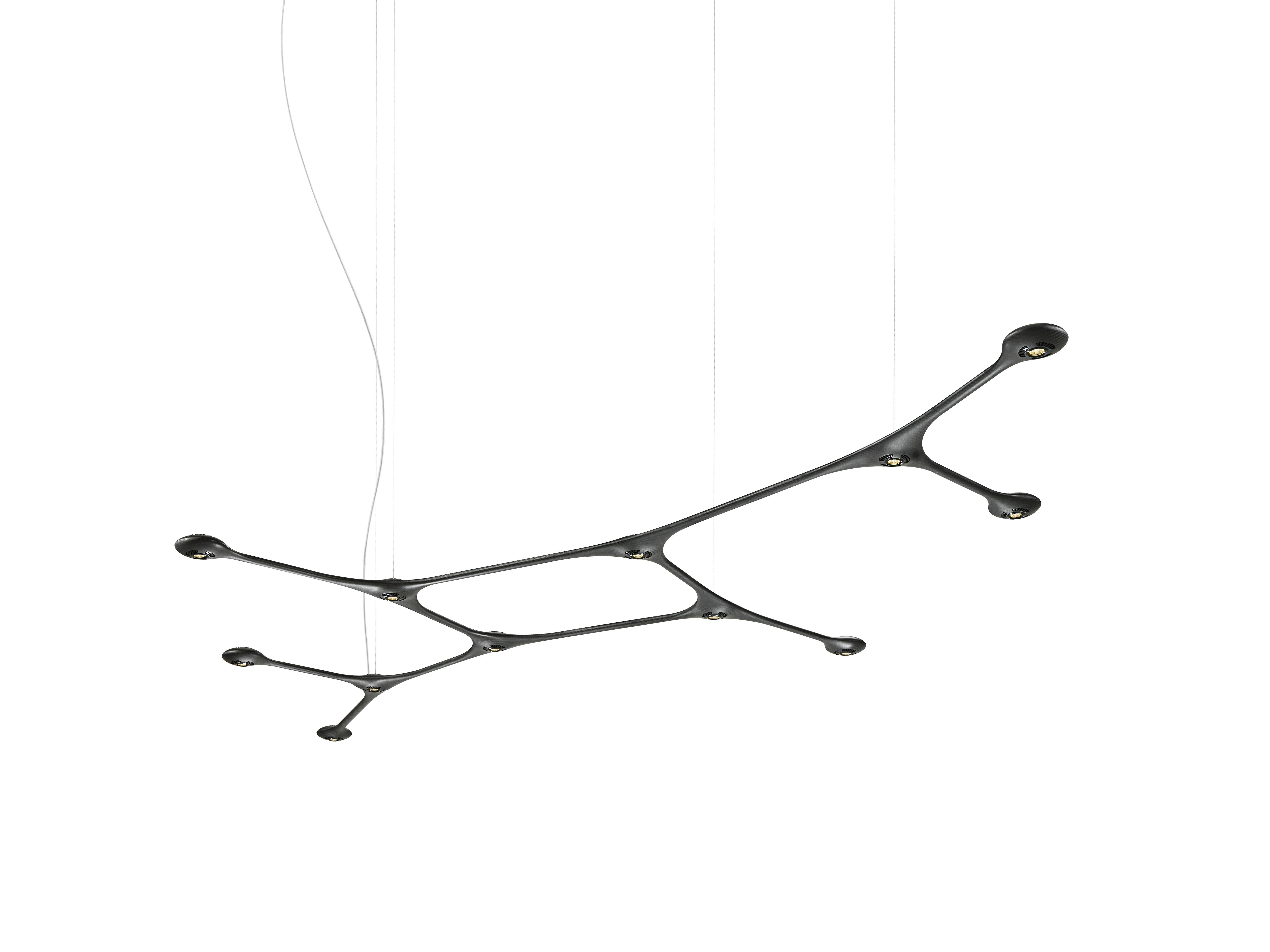 Modern CARB-12 Carbon Ceiling Light by Tokio
