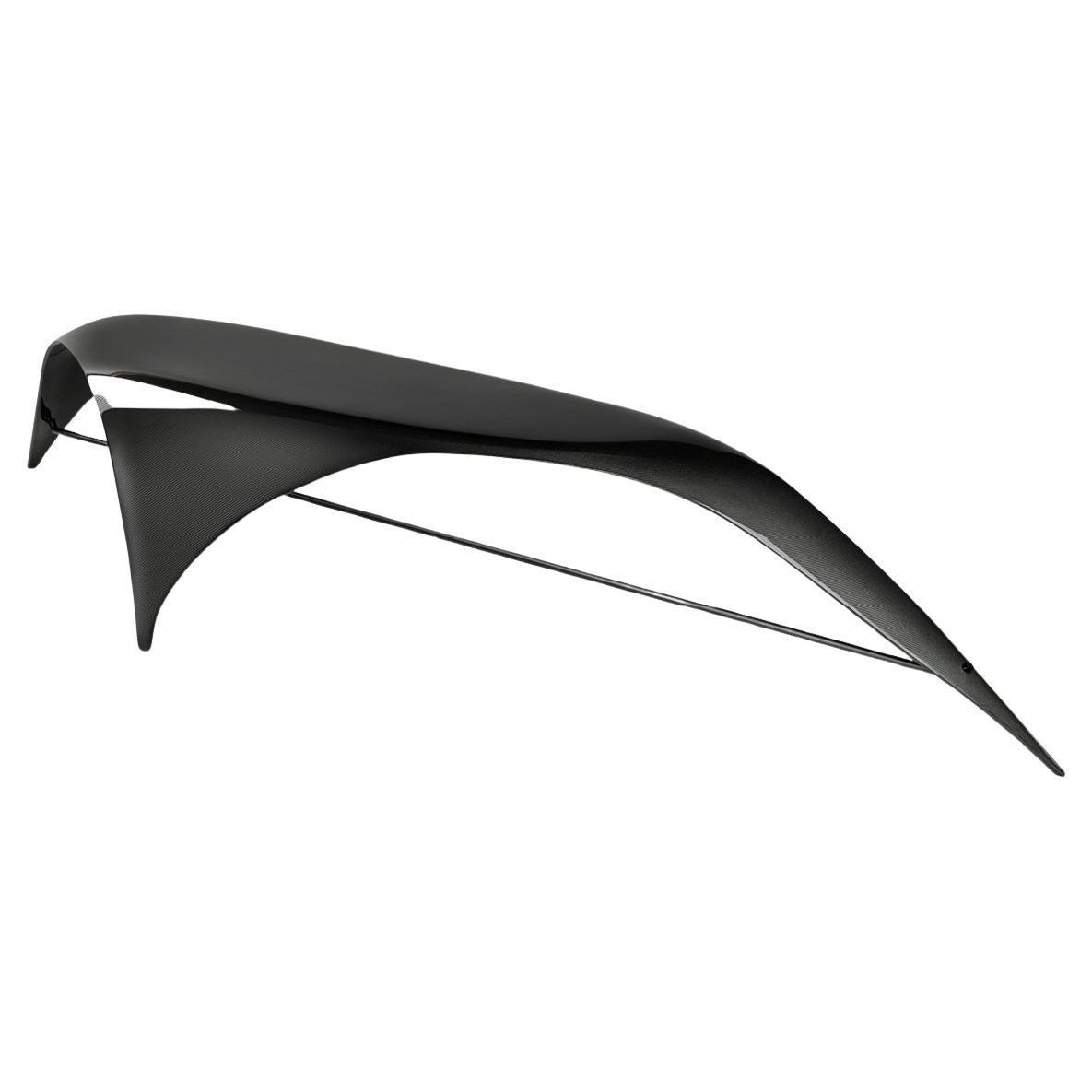 Carbon Fibre Ant Bench by Madheke