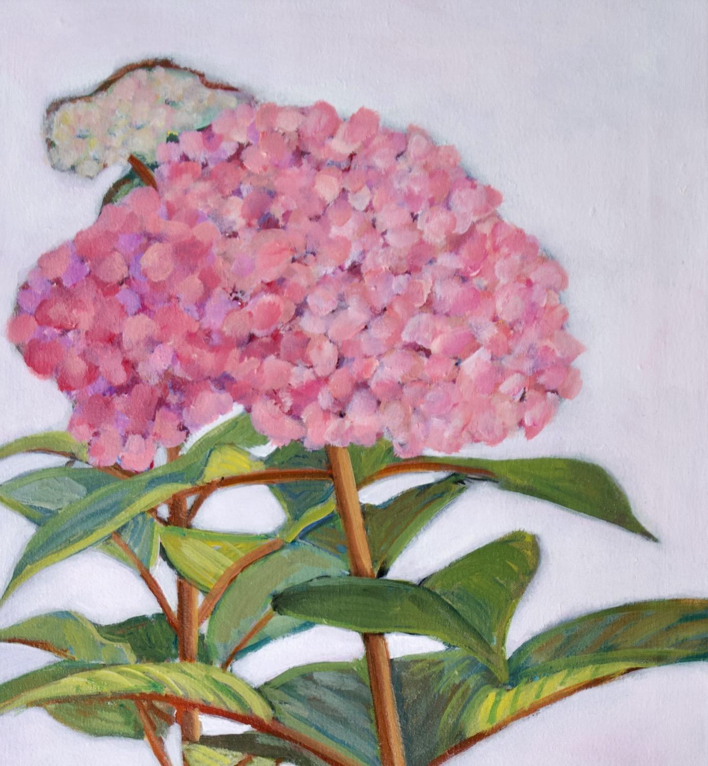 <p>Kommentare der Künstlerin<br>Die Künstlerin Carey Parks porträtiert blühende Hortensien aus ihrem Garten. Vor einem Hintergrund in zartem Lila leuchten die Blütenblätter in kräftigen Magenta- und Rosatönen, während die Blätter in leuchtenden