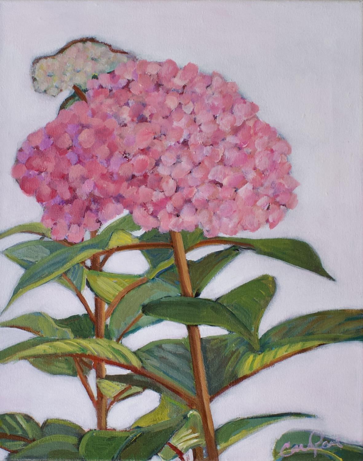 Carey Parks Still-Life Painting – Große rosa Blüte, Originalgemälde