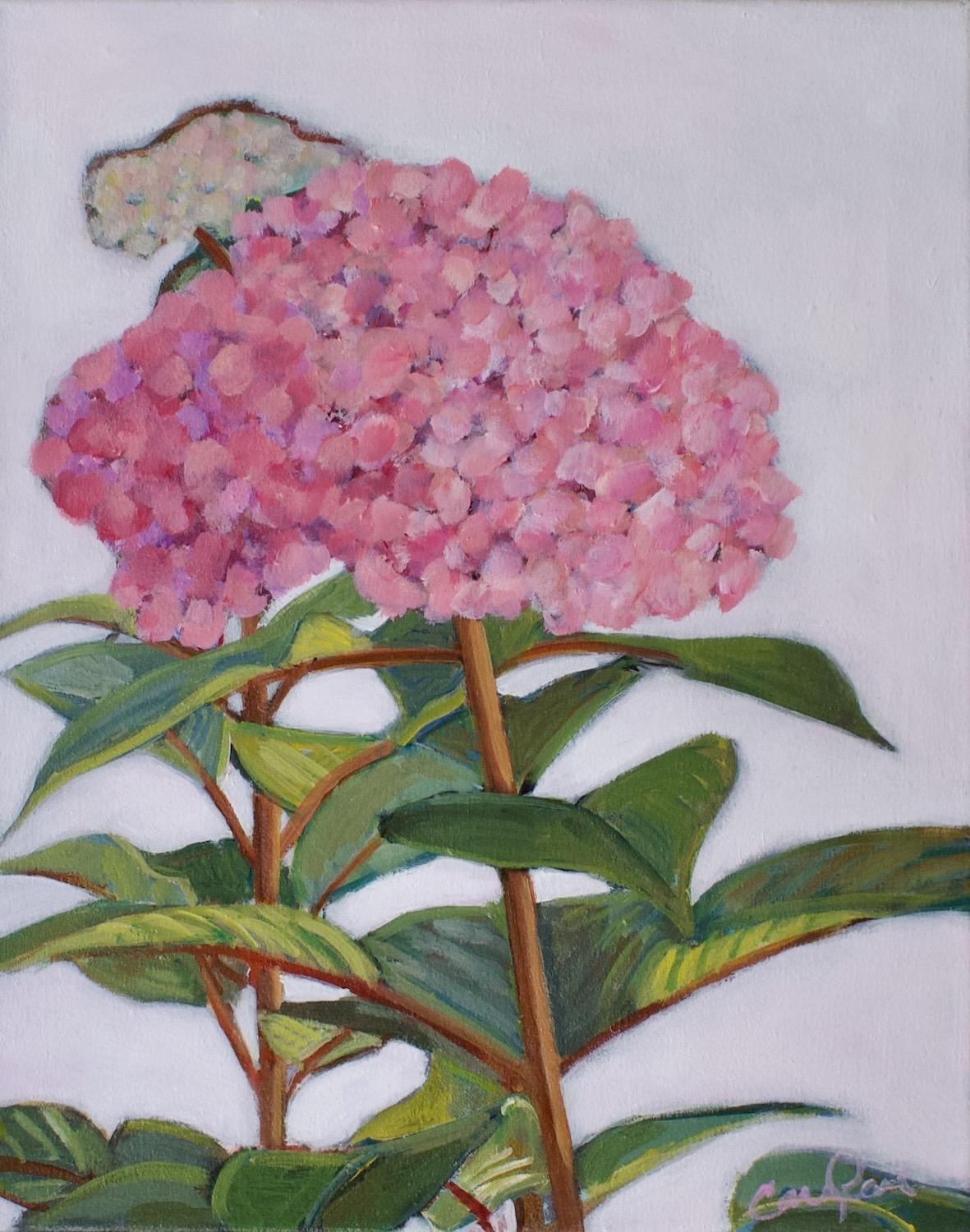 Still-Life Painting de Carey Parks - Gran Flor Rosa, Pintura Original