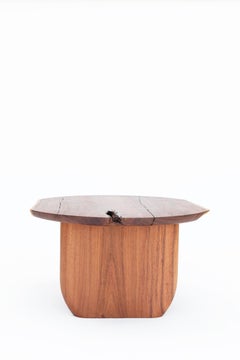 Organic Modern Coffee Table in Caribbean Walnut Tropical Wood