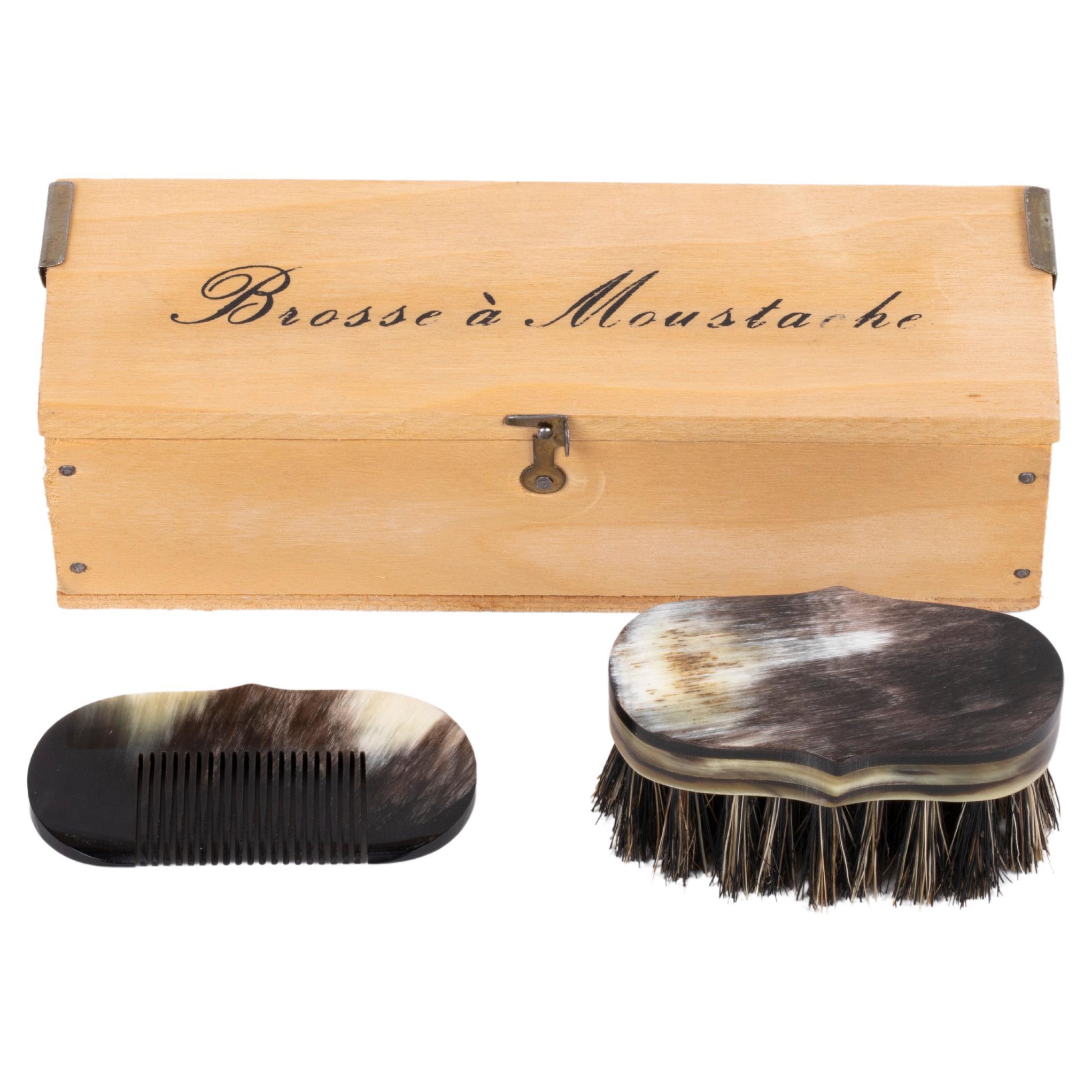 Carl Auböck Box with Comb and a Brush, Austria, 1960s