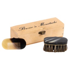 Vintage Carl Auböck Comb and Brush in a Box, Austria, 1960s