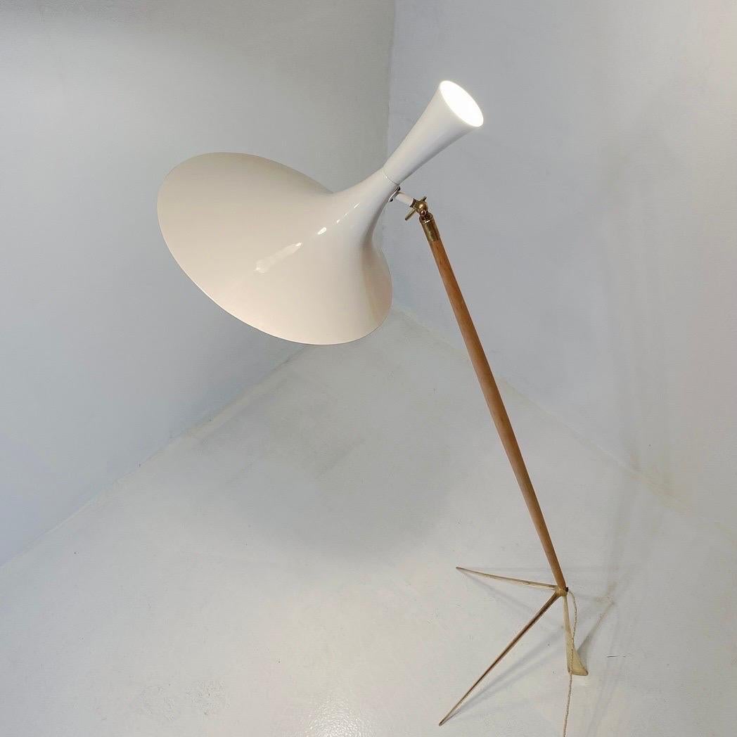 Austrian Floor Lamp, Austria 1950s For Sale